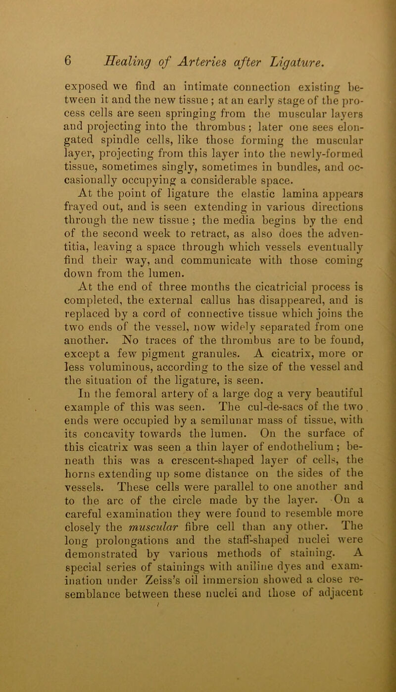 exposed we find an intimate connection existing be- tween it and the new tissue; at an early stage of the pro- cess cells are seen springing from the muscular layers and projecting into the thrombus; later one sees elon- gated spindle cells, like those forming the muscular layer, projecting from this layer into the newly-formed tissue, sometimes singly, sometimes in bundles, and oc- casionally occupying a considerable space. At the point of ligature the elastic lamina appears frayed out, and is seen extending in various directions through the new tissue ; the media begins by the end of the second week to retract, as also does the adven- titia, leaving a space through which vessels eventually fiud their way, and communicate with those coming down from the lumen. At the end of three months the cicatricial process is completed, the external callus has disappeared, and is replaced by a cord of connective tissue which joins the two ends of the vessel, now widely separated from one another. No traces of the thrombus are to be found, except a few pigment granules. A cicatrix, more or less voluminous, according to the size of the vessel and the situation of the ligature, is seen. In the femoral artery of a large dog a very beautiful example of this was seen. The cul-de-sacs of the two . ends were occupied by a semilunar mass of tissue, with its concavity towards the lumen. On the surface of this cicatrix was seen a thin layer of endothelium; be- neath this was a crescent-shaped layer of cells, the horns extending up some distance on the sides of the vessels. These cells were parallel to one another and to the arc of the circle made by the layer. On a careful examination they were found to resemble more closely the muscular fibre cell than any other. The long prolongations and the staff-shaped nuclei were demonstrated by various methods of staining. A special series of stainings with aniline dyes and exam- ination under Zeiss’s oil immersion showed a close re- semblance between these nuclei and Lhose of adjacent