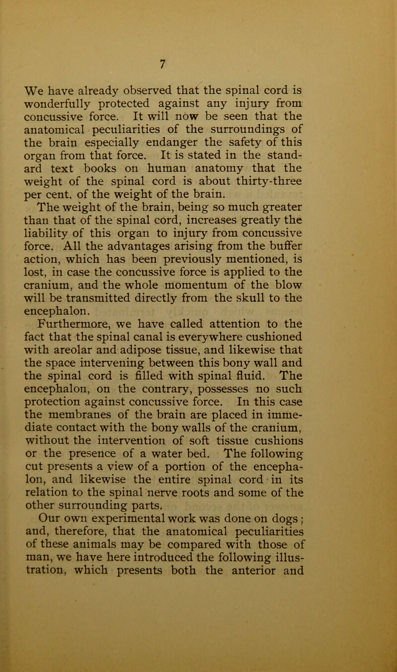 We have already observed that the spinal cord is wonderfully protected against any injury from concussive force. It will now be seen that the anatomical peculiarities of the surroundings of the brain especially endanger the safety of this organ from that force. It is stated in the stand- ard text books on human anatomy that the weight of the spinal cord is about thirty-three per cent, of the weight of the brain. The weight of the brain, being so much greater than that of the spinal cord, increases greatly the liability of this organ to injury from concussive force. All the advantages arising from the buffer action, which has been previously mentioned, is lost, in case the concussive force is applied to the cranium, and the whole momentum of the blow will be transmitted directly from the skull to the encephalon. Furthermore, we have called attention to the fact that the spinal canal is everywhere cushioned with areolar and adipose tissue, and likewise that the space intervening between this bony wall and the spinal cord is filled with spinal fluid. The encephalon, on the contrary, possesses no such protection against concussive force. In this case the membranes of the brain are placed in imme- diate contact with the bony walls of the cranium, without the intervention of soft tissue cushions or the presence of a water bed. The following cut presents a view of a portion of the encepha- lon, and likewise the entire spinal cord ■ in its relation to the spinal nerve roots and some of the other surrounding parts. Our own experimental work was done on dogs; and, therefore, that the anatomical peculiarities of these animals may be compared with those of man, we have here introduced the following illus- tration, which presents both the anterior and
