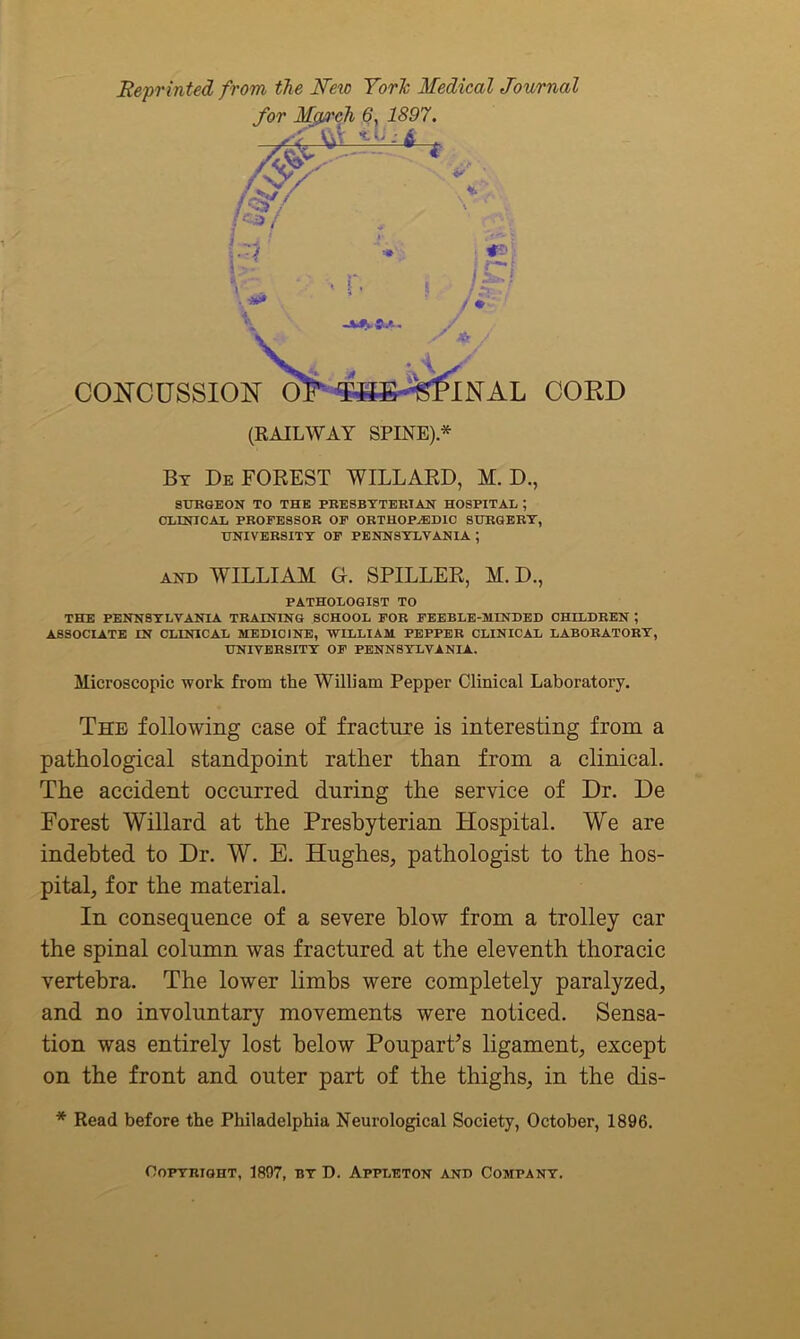 Reprinted from the Mew York Medical Journal By Deforest willard, m.d., SURGEON TO THE PRESBYTERIAN HOSPITAL ; CLINICAL PROFESSOR OF ORTHOPAEDIC SURGERY, UNIVERSITY OF PENNSYLVANIA ; and WILLIAM Gr. SPILLER, M. D., PATHOLOGIST TO THE PENNSYLVANIA TRAINING SCHOOL FOR FEEBLE-MINDED CHILDREN ; ASSOCIATE IN CLINICAL MEDICINE, WILLIAM PEPPER CLINICAL LABORATORY, UNIVERSITY OF PENNSYLVANIA. Microscopic work from the William Pepper Clinical Laboratory. The following case of fracture is interesting from a pathological standpoint rather than from a clinical. The accident occurred during the service of Dr. De Forest Willard at the Presbyterian Hospital. We are indebted to Dr. W. E. Hughes, pathologist to the hos- pital, for the material. In consequence of a severe blow from a trolley car the spinal column was fractured at the eleventh thoracic vertebra. The lower limbs were completely paralyzed, and no involuntary movements were noticed. Sensa- tion was entirely lost below Poupart’s ligament, except on the front and outer part of the thighs, in the dis- * Read before the Philadelphia Neurological Society, October, 1896. Copyright, 1897, by D. Appleton and Company.