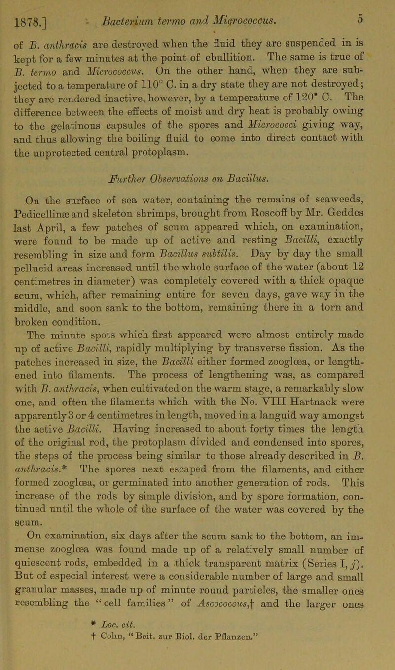 4 of B. anthracis are destroyed when the fluid they are suspended in is kept for a few minutes at the point of ebullition. The same is true of B. termo and Micrococcus. On the other hand, when they are sub- jected to a temperature of 110° C. in a dry state they are not destroyed; they are rendered inactive, however, by a temperature of 120* C. The difference between the effects of moist and dry heat is probably owing to the gelatinous capsules of the spores and Micrococci giving way, and thus allowing the boiling fluid to come into direct contact with the unprotected central protoplasm. Further Observations on Bacillus. On the surface of sea water, containing the remains of seaweeds, Pedicellinse and skeleton shrimps, brought from Roscoff by Mr. Geddes last April, a few patches of scum appeared which, on examination, were found to be made up of active and resting Bacilli, exactly resembling in size and form Bacillus suhtilis. Day by day the small pellucid areas increased until the whole sui’face of the water (about 12 centimetres in diameter) was completely covered with a thick opaque scum, which, after remaining entire for seven days, gave way in the middle, and soon sank to the bottom, remaining there in a torn and broken condition. The minute spots which first appeared were almost entirely made up of active Bacilli, rapidly multiplying by transverse fission. As the patches increased in size, the Bacilli either formed zoogloea, or length- ened into filaments. The process of lengthening was, as compared with B. anthracis, when cultivated on the warm stage, a remarkably slow one, and often the filaments which with the No. VIII Hartnack were apparently 3 or 4 centimetres in length, moved in a languid way amongst the active Bacilli. Having increased to about forty times the length of the original rod, the pi’otoplasm divided and condensed into spores, the steps of the process being similar to those already described in B. anthracis.* The spores next escaped from the filaments, and either formed zoogloea, or germinated into another generation of rods. This increase of the rods by simple division, and by spore formation, con- tinued until the whole of the surface of the water was covered by the scum. On examination, six days after the scum sank to the bottom, an im- mense zoogloea was found made up of a relatively small number of quiescent rods, embedded in a thick transparent matrix (Series I, j). But of especial interest were a considerable number of large and small granular masses, made up of minute round particles, the smaller ones resembling the “ cell families ” of Ascococcus,f and the larger ones * Loc. cit. t Cohn, “ Beit, zur Biol, der Pflanzen.”