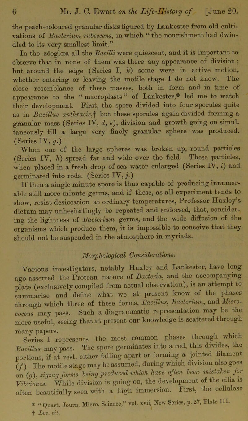 the peach-coloured granular disks figured by Lankester from old culti- vations of Bacterium rubescens, in which “ the nourishment had dwin- dled to its very smallest limit.” In the zoogloea all the Bacilli were quiescent, and it is important to observe that in none of them was there any appearance of division; but around the edge (Series I, k) some were in active motion, whether entering or leaving the motile stage I do not know. The close resemblance of these masses, both in form and in time of appearance to the “ macroplasts ” of Lankester,* led me to watch their development. First, the spore divided into four sporules quite as in Bacillus anthracis,] but these sporules again divided forming a granular mass (Series IY, d, e), division and growth going on simul- taneously till a large very fiuely granular sphere was produced. (Series IY, g.) When one of the large spheres was broken up, round particles (Series IY, h) spread far and wide over the field. These particles, when placed in a fresh drop of sea water enlarged (Series IV, i) and germinated into rods. (Series IY, J.) If then a single minute spore is thus capable of pi’oducing innumer- able still more minute germs, and if these, as all experiment tends to show, resist desiccation at ordinary temperatures, Professor Huxley’s dictum may unhesitatingly be repeated and endorsed, that, consider- ing the lightness of Bacterium germs, and the wide diffusion of the organisms which produce them, it is impossible to conceive that they should not be suspended in the atmosphere in myriads. Mo rp ho logical Considerat ions. Various investigators, notably Huxley and Lankester, have long ago asserted the Protean nature of Bacteria, and the accompanying plate (exclusively compiled from actual observation), is an attempt to summarise and define what we at present know of the phases through which three of these forms, Bacillus, Bacterium, and Micro- coccus may pass. Such a diagrammatic representation may be the more useful, seeing that at present our knowledge is scattered through many papers. Series I represents the most common phases through which Bacillus may pass. The spore germinates into a rod, this divides, the portions, if at rest, either falling apart or forming a jointed filament (/). The motile stage may be assumed, during which division also goes on (g), zigzag forms being produced which have often been mistaken for Vibriones. While division is going on, the development of the cilia is often beautifully seen with a high immersion. First, the cellulose * “ Quart. Journ. Micro. Science,” vol. xvii, New Series, p. 27, Pinto III. f Lov. cit.