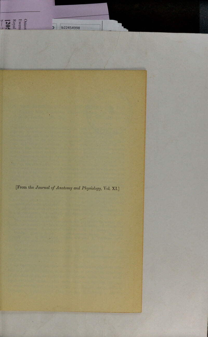 Osteot Ewens Royal b22454998 [From the Journal of Anatomy and Physiology, Vol. XI.]