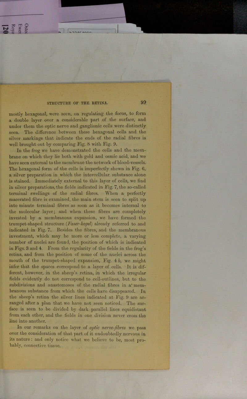 mostly hexagonal, were seen, on regulating the focus, to form a double layer over a considerable part of the surface, and under them the optic nerve and ganglionic cells were distinctly seen. The difference between these hexagonal cells and the silver markings that indicate the ends of the radial fibres is well brought out by comparing Fig. 8 with Fig. 9. In the frog we have demonstrated the cells and the mem- brane on which they lie both with gold and osmic acid, and we have seen external to the membrane the network of blood-vessels. The hexagonal form of the cells is imperfectly shewn in Fig. 6, a silver preparation in which the intercellular substance alone is stained. Immediately external to this layer of cells, we find in silver preparations, the fields indicated in Fig. 7, the so-called terminal swellings of the radial fibres. When a perfectly macerated fibre is examined, the main stem is seen to split up into minute terminal fibres as soon as it becomes internal to the molecular layer; and when these fibres are completely invested by a membranous expansion, we have formed the trumpet-shaped structure (Faser-lcegel) already referred to and indicated in Fig. 7. Besides the fibres, and the membranous investment, which may be more or less complete, a varying number of nuclei are found, the position of which is indicated in Figs. 8 and 4. From the regularity of the fields in the frog’s retina, and from the position of some of the nuclei across the mouth of the trumpet-shaped expansion, Fig. 4 b, we might infer that the spaces correspond to a layer of cells. It is dif- ferent, however, in the sheep’s retina, in which the irregular fields evidently do not correspond to cell-outlines, but to the subdivisions and anastomoses of the radial fibres in a' mem- branous substance from which the cells have disappeared. In the sheep’s retina the silver lines indicated at Fig. 9 are ar- ranged after a plan that we have not seen noticed. The sur- face is seen to be divided by dark parallel lines equidistant from each other, and the fields in one division never cross the line into another. In our remarks on the layer of optic nerve-fibres we pass over the consideration of that part of it undoubtedly nervous in its nature: and only notice what we believe to be, most pro- bably, connective tissue.