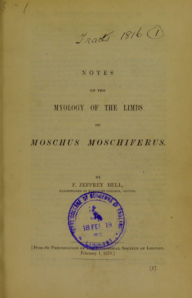 ON THE MYOLOGY OF THE LIMBS MO SC HUS MOSCHIFERUS. BY F. JEFFREY BELL, EXHIBITIONER of M .1 fin A r.mi« COLLEGE, OXFORD. From the Proceedings oiT?f<!rt5t3TjLOGiCAL Society of London, February 1, 187b.] [1]