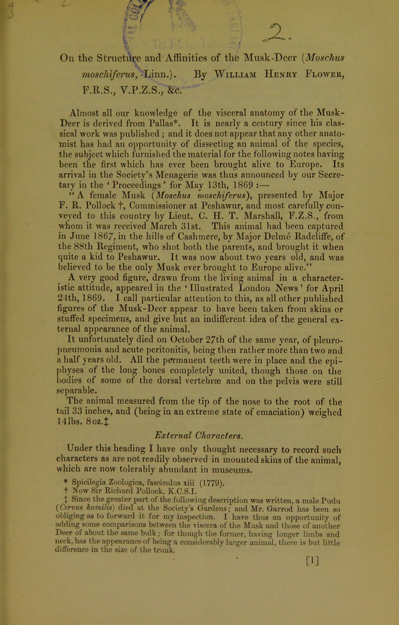 moscliiferus, -Linn.). By William Henry Flower, F.R.S., Y.P.Z.S., &c. Almost all our knowledge of the visceral anatomy of the Musk- Deer is derived from Pallas*. It is nearly a century since his clas- sical work was published ; and it does not appear that any other anato- mist has had an opportunity of dissecting an animal of the species, the subject which furnished the material for the following notes having been the first which has ever been brought alive to Europe. Its arrival in the Society’s Menagerie was thus announced by our Secre- tary in the ‘Proceedings’ for May 13th, 1869 :— “ A female Musk (Moschus moscliiferus), presented by Major F. R. Pollock t, Commissioner at Peshawur, and most carefully con- veyed to this country by Lieut. C. H. T. Marshall, F.Z.S., from whom it was received March 31st. This animal had been captured in June 1867, in the hills of Cashmere, by Major Delme Radcliffe, of the 88th Regiment, who shot both the parents, and brought it when quite a kid to Peshawur. It was now about two years old, and was believed to be the only Musk ever brought to Europe alive.” A very good figure, drawn from the living animal in a character- istic attitude, appeared in the ‘ Illustrated London News ’ for April 24th, 1869. I call particular attention to this, as all other published figures of the Musk-Deer appear to have been taken from skins or stuffed specimens, and give but an indifferent idea of the general ex- ternal appearance of the animal. It unfortunately died on October 27th of the same year, of pleuro- pneumonia and acute peritonitis, being then rather more than two and a half years old. All the permanent teeth were in place and the epi- physes of the long bones completely united, though those on the bodies of some of the dorsal vertebrae and on the pelvis were still separable. The animal measured from the tip of the nose to the root of the tail 33 inches, and (being in an extreme state of emaciation) weighed 141bs. 8oz.^ External Characters. Under this heading I have only thought necessary to record such characters as are not readily observed in mounted skills of the animal, which are now tolerably abundant in museums. * Spicilegia Zoologica, fasciculus xiii (1779). t Now Sir Richard Pollock, K.C.S.I. t Since the greater part of the following description was written, a male Pudu (Cervus humilis) died at the Society's Gardens; and Mr. Garrod has been so obliging as to forward it for my inspection. I have thus an opportunity of adding some comparisons between the viscera of the Musk and those of another Deer of about the same bulk; for though the former, having longer limbs and neck, has the appearance of being a considerably larger animal, there is but little difference in the size of the trunk. [1]