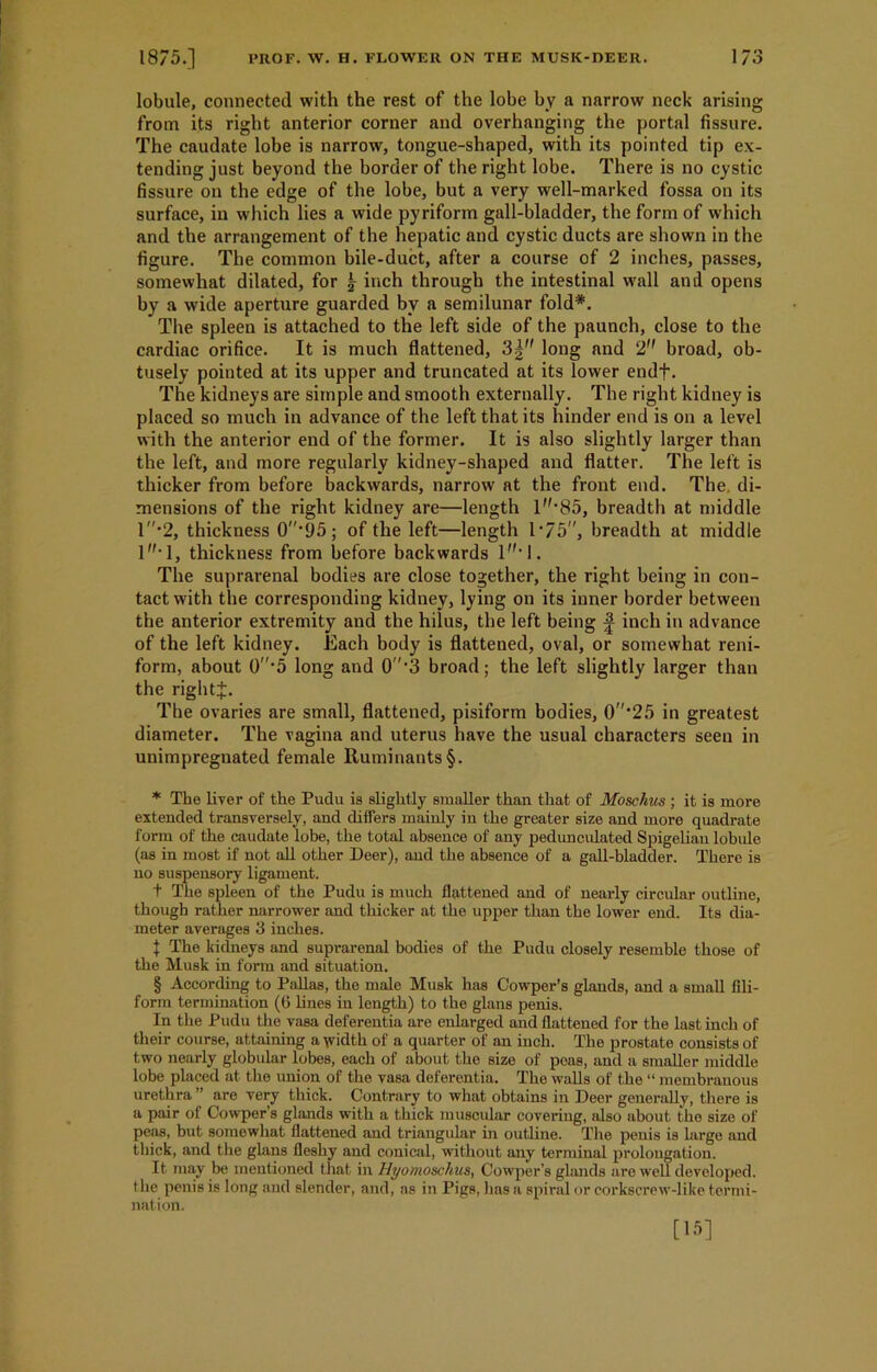 lobule, connected with the rest of the lobe by a narrow neck arising from its right anterior corner and overhanging the portal fissure. The caudate lobe is narrow, tongue-shaped, with its pointed tip ex- tending just beyond the border of the right lobe. There is no cystic fissure on the edge of the lobe, but a very well-marked fossa on its surface, in which lies a wide pyriform gall-bladder, the form of which and the arrangement of the hepatic and cystic ducts are shown in the figure. The common bile-duct, after a course of 2 inches, passes, somewhat dilated, for j- inch through the intestinal wall and opens by a wide aperture guarded by a semilunar fold*. The spleen is attached to the left side of the paunch, close to the cardiac orifice. It is much flattened, 3g long and 2 broad, ob- tusely pointed at its upper and truncated at its lower endf. The kidneys are simple and smooth externally. The right kidney is placed so much in advance of the left that its hinder end is on a level with the anterior end of the former. It is also slightly larger than the left, and more regularly kidney-shaped and flatter. The left is thicker from before backwards, narrow at the front end. The. di- mensions of the right kidney are—length l,,-85, breadth at middle l-2, thickness 0'95; of the left—length 1 *75”, breadth at middle l‘l, thickness from before backwards l,l. The suprarenal bodies are close together, the right being in con- tact with the corresponding kidney, lying on its inner border between the anterior extremity and the hilus, the left being £ inch in advance of the left kidney. Each body is flattened, oval, or somewhat reni- form, about 0‘5 long and 0’3 broad; the left slightly larger than the right]:. The ovaries are small, flattened, pisiform bodies, 0‘25 in greatest diameter. The vagina and uterus have the usual characters seen in unimpregnated female Ruminants§. * The liver of the Pudu is slightly smaller than that of Moschus; it is more extended transversely, and differs mainly in the greater size and more quadrate form of the caudate lobe, the total absence of any pedunculated Spigelian lobule (as in most if not all other Deer), and the absence of a gall-bladder. There is no suspensory ligament. t The spleen of the Pudu is much flattened and of nearly circular outline, though rather narrower and thicker at the upper than the lower end. Its dia- meter averages 3 inches. t The kidneys and suprarenal bodies of the Pudu closely resemble those of the Musk in form and situation. § According to Pallas, the male Musk has Cowper’s glands, and a small fili- form termination (6 lines in length) to the glans penis. In the Pudu the vasa deferentia are enlarged aud flattened for the last inch of their course, attaining a width of a quarter of an inch. The prostate consists of two nearly globular lobes, each of about the size of peas, and a smaller middle lobe placed at the union of the vasa deferentia. The walls of the “ membranous urethra ” are very thick. Contrary to what obtains in Deer generally, there is a pair of Cowper s glands with a thick muscidar covering, also about the size of peas, but somewhat flattened and triangular in outline. The penis is large and thick, and the glans fleshy and conical, without any terminal prolongation. It may be mentioned that in Hyo moschus, Cowper's glands are well developed, the penis is long and slender, and, as in Pigs, has a spiral or corkscrew-like termi- nation. [15]