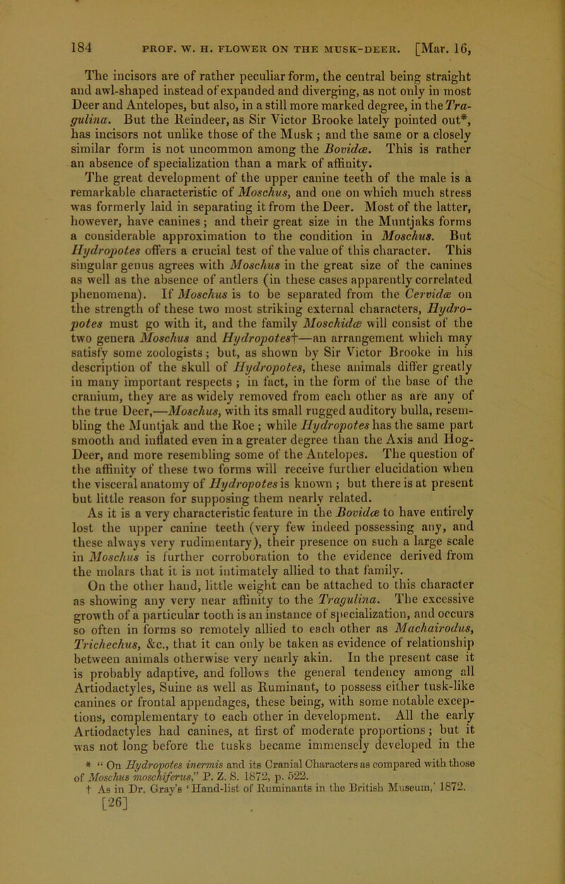 The incisors are of rather peculiar form, the central being straight and awl-shaped instead of expanded and diverging, as not only in most Deer and Antelopes, but also, in a still more marked degree, in the Tra- gulina. But the Reindeer, as Sir Victor Brooke lately pointed out*, has incisors not unlike those of the Musk ; and the same or a closely similar form is not uncommon among the Bovidce. This is rather an absence of specialization than a mark of affinity. The great development of the upper canine teeth of the male is a remarkable characteristic of Moschus, and one on which much stress was formerly laid in separating it from the Deer. Most of the latter, however, have canines ; and their great size in the Muntjaks forms a considerable approximation to the condition in Moschus. But Hydropotes offers a crucial test of the value of this character. This singular genus agrees with Moschus in the great size of the canines as well as the absence of antlers (in these cases apparently correlated phenomena). If Moschus is to be separated from the Cervidcc on the strength of these two most striking external characters, Hydro- potes must go with it, and the family Moschidcc will consist of the two genera Moschus and Hydropotest—an arrangement which may satisfy some zoologists; but, as shown by Sir Victor Brooke in his description of the skull of Hydropotes, these animals differ greatly in many important respects ; in fact, in the form of the base of the cranium, they are as widely removed from each other as are any of the true Deer,—Moschus, with its small rugged auditory bulla, resem- bling the Muntjak and the Roe ; while Hydropotes has the same part smooth and inflated even in a greater degree than the Axis and IIog- Deer, and more resembling some of the Antelopes. The question of the affinity of these two forms will receive further elucidation when the visceral anatomy of Hydropotes is known ; but there is at present but little reason for supposing them nearly related. As it is a very characteristic feature in the Bovidce to have entirely lost the upper canine teeth (very few indeed possessing any, and these always very rudimentary), their presence on such a large scale in Moschus is further corroboration to the evidence derived from the molars that it is not intimately allied to that family. On the other hand, little weight can be attached to this character as showing any very near affinity to the Tragulina. The excessive growth of a particular tooth is an instance of specialization, and occurs so often in forms so remotely allied to each other as Machairodus, Trichechus, &c., that it can only be taken as evidence of relationship between animals otherwise very nearly akin. In the present case it is probably adaptive, and follows the general tendency among all Artiodactyles, Suine as well as Ruminant, to possess either tusk-like canines or frontal appendages, these being, with some notable excep- tions, complementary to each other in development. All the early Artiodactyles had canines, at first of moderate proportions; but it was not long before the tusks became immensely developed in the * “ On Hydropotes inermis and its Cranial Characters as compared with those of Moschus moschiferus,” P. Z. S. 1872, p. 522. t As in Dr. Gray’s ‘Iland-list of Ruminants in the British Museum,' 1872. [26]