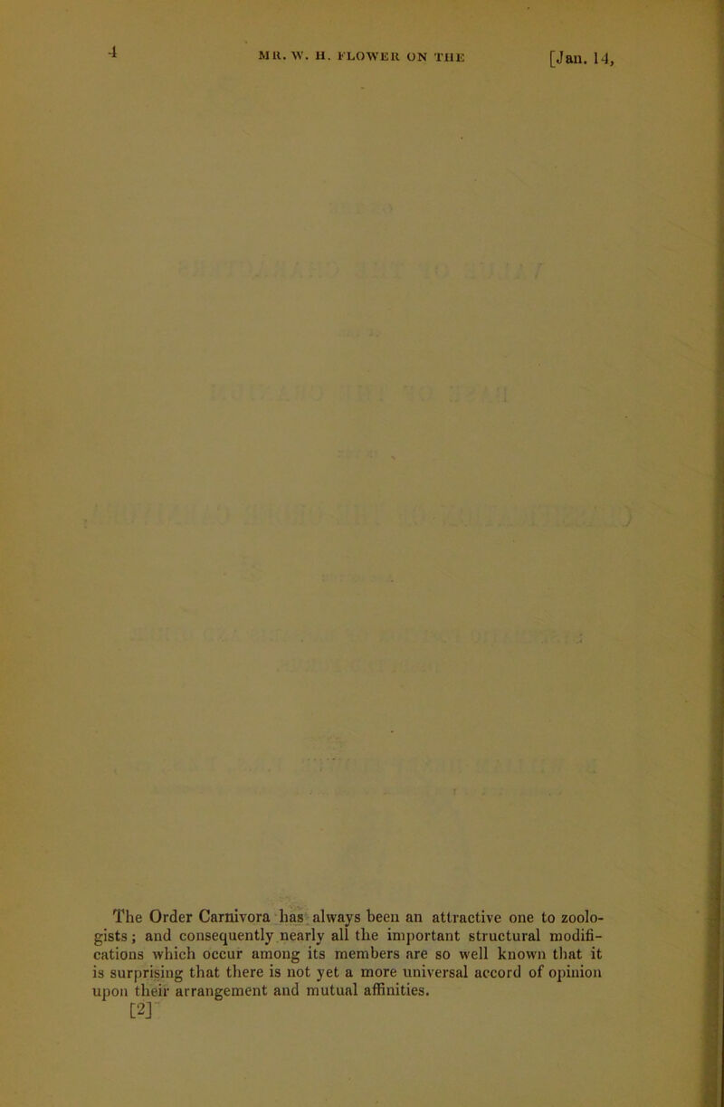 The Order Carnivora has always been an attractive one to zoolo- gists ; and consequently nearly all the important structural modifi- cations which occur among its members are so well known that it is surprising that there is not yet a more universal accord of opinion upon their arrangement and mutual affinities. (XT