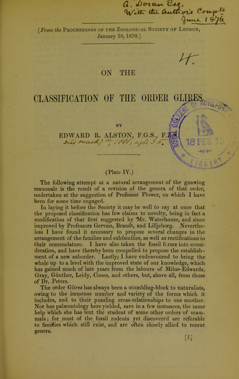 a, *4r Qv^Jcrr 4feL (Vw-yl? ^ ■t^tAjk. I 8^4 [from </ie Pboceedings of the Zoological Society of London, January 18,1876.] Hr ON THE CLASSIFICATION OF THE OEDEK GLIEES. A ' 0f BY 0(£3i EDWARD R. ALSTON, F.G.S., F.lfa|| */<o 181: _ \ \ ”*■*- y (Plate IV.) •421a The following attempt at a natural arrangement of the gnawing mammals is the result of a revision of the genera of that order, undertaken at the suggestion of Professor Flower, on which I have been for some time engaged. In laying it before the Society it may be well to say at once that the proposed classification has few claims to novelty, being in fact a modification of that first suggested by “Mr. Waterhouse, and since improved by Professors Gervais, Brandt, and Lilljeborg. Neverthe- less I have found it necessary to propose several changes in the arrangement of the families and subfamilies, as well as rectifications in their nomenclature. I have also taken the fossil forms into consi- deration, and have thereby been compelled to propose the establish- ment of a new suborder. Lastly,* I have endeavoured to bring the whole up to a level with the improved state of our knowledge, which has gained much of late years from the labours of Milne-Edwards, Gray, Gunther, Leidy, Coues, and others, but, above all, from those of Dr. Peters. The order Glires has always been a stumbling-block to naturalists, owing to the immense number and variety of the forms which it includes, and to their puzzling cross-relationships to one another. Nor has palaeontology here yielded, save in a few instances, the same help which she has lent the student of some other orders of mam- mals ; for most of the fossil rodents yet discovered are referable to families which still exist, and are often closely allied to recent genera.