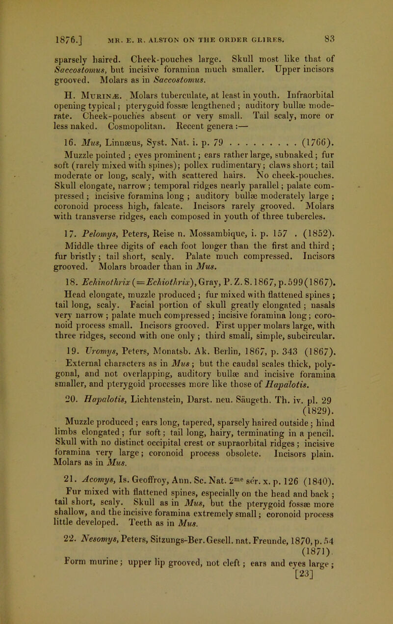 sparsely haired. Cheek-pouches large. Skull most like that of Saccostomus, but incisive foramina much smaller. Upper incisors grooved. Molars as in Saccostomus. H. Mtjrinas. Molars tuberculate, at least in youth. Infraorbital opening typical; pteryguid fossae lengthened ; auditory bullae mode- rate. Cheek-pouches absent or very small. Tail scaly, more or less naked. Cosmopolitan. Recent genera:— 16. Mus, Linnaeus, Syst. Nat. i. p. 79 (1766). Muzzle pointed ; eyes prominent; ears rather large, subnaked; fur soft (rarely mixed with spines); pollex rudimentary; claws short; tail moderate or long, scaly, with scattered hairs. No cheek-pouches. Skull elongate, narrow; temporal ridges nearly parallel; palate com- pressed ; incisive foramina long ; auditory bullae moderately large ; coronoid process high, falcate. Incisors rarely grooved. Molars with transverse ridges, each composed in youth of three tubercles. 17. Pelomys, Peters, Reise n. Mossambique, i. p. 157 . (1852). Middle three digits of each foot longer than the first and third ; fur bristly; tail short, scaly. Palate much compressed. Incisors grooved. Molars broader than in Mus. 18. Echinothrix (=Echiothrix), Gray, P. Z. S. 1867, p. 599(1867). Head elongate, muzzle produced ; fur mixed with flattened spines ; tail long, scaly. Facial portion of skull greatly elongated ; nasals very narrow ; palate much compressed ; incisive foramina long; coro- noid process small. Incisors grooved. First upper molars large, with three ridges, second with one only ; third small, simple, subcircular. 19. TJromys, Peters, Monatsb. Ak. Berlin, 1867, p. 343 (1867). External characters as in Mus; but the caudal scales thick, poly- gonal, and not overlapping, auditory bullae and incisive foramina smaller, and pterygoid processes more like those of Hapalotis. 20. Hapalotis, Lichtenstein, Ilarst. neu. Saugeth. Th. iv. pi. 29 (1829). Muzzle produced ; ears long, tapered, sparsely haired outside ; hind limbs elongated ; fur soft; tail long, hairy, terminating in a pencil. Skull with no distinct occipital crest or supraorbital ridges; incisive foramina very large; coronoid process obsolete. Incisors plain. Molars as in Mus. 21. xl.comys, Is. Geoflfroy, Ann. Sc. Nat. 2me ser. x. p. 126 (1840). Fur mixed with flattened spines, especially on the head and back ; tail short, scaly. Skull as in Mus, but the pterygoid fossae more shallow, and the incisive foramina extremely small; coronoid process little developed. Teeth as in Mus. 22. Nesomys, Peters, Sitzungs-Ber.Gesell. nat. Freunde, 1870, p. 54 (1871) form murine; upper lip grooved, not cleft; ears and eyes large ; ■[23]