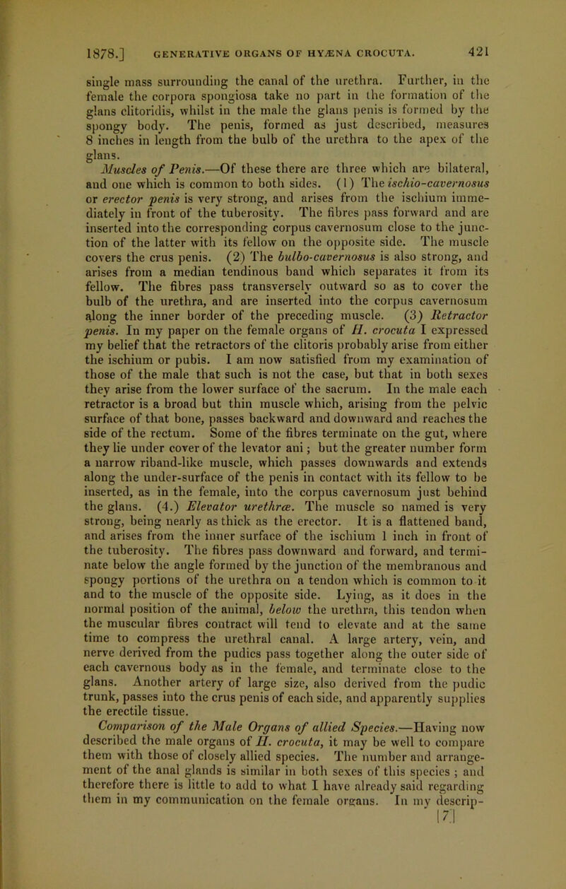 single mass surrounding the canal of the urethra. Further, in the female the corpora spongiosa take no part in the formation of the glans clitoridis, whilst in the male the glans penis is formed by the spongy body. The penis, formed as just described, measures 8 inches in length from the bulb of the urethra to the apex of the glans. Muscles of Penis.—Of these there are three which are bilateral, and one which is common to both sides. (1) The ischio-cavernosus or erector penis is very strong, and arises from the ischium imme- diately iu front of the tuberosity. The fibres pass forward and are inserted into the corresponding corpus cavernosum close to the junc- tion of the latter with its fellow on the opposite side. The muscle covers the crus penis. (2) The bulbo-caveimosus is also strong, and arises from a median tendinous baud which separates it from its fellow. The fibres pass transversely outward so as to cover the bulb of the urethra, and are inserted into the corpus cavernosum along the inner border of the preceding muscle. (3) Retractor penis. In my paper on the female organs of H. crocuta I expressed my belief that the retractors of the clitoris probably arise from either the ischium or pubis. I am now satisfied from my examination of those of the male that such is not the case, but that in both sexes they arise from the lower surface of the sacrum. In the male each retractor is a broad but thin muscle which, arising from the pelvic surface of that bone, passes backward and downward and reaches the side of the rectum. Some of the fibres terminate on the gut, where they lie under cover of the levator ani; but the greater number form a narrow riband-like muscle, which passes downwards and extends along the under-surface of the penis in contact with its fellow to be inserted, as in the female, into the corpus cavernosum just behind the glans. (4.) Elevator uretlirce. The muscle so named is very strong, being nearly as thick as the erector. It is a flattened band, and arises from the inner surface of the ischium 1 inch in front of the tuberosity. The fibres pass downward and forward, and termi- nate below the angle formed by the junction of the membranous and spongy portions of the urethra on a tendon which is common to it and to the muscle of the opposite side. Lying, as it does in the normal position of the animal, below the urethra, this tendon when the muscular fibres contract will tend to elevate and at the same time to compress the urethral canal. A large artery, vein, and nerve derived from the pudics pass together along the outer side of each cavernous body as in the female, and terminate close to the glans. Another artery of large size, also derived from the pudic trunk, passes into the crus penis of each side, and apparently supplies the erectile tissue. Comparison of the Male Organs of allied Species.—Having now described the male organs of II. crocuta, it may be well to compare them with those of closely allied species. The number and arrange- ment of the anal glands is similar in both sexes of this species ; and therefore there is little to add to what I have already said regarding them in my communication on the female organs. In my descrip- 17]