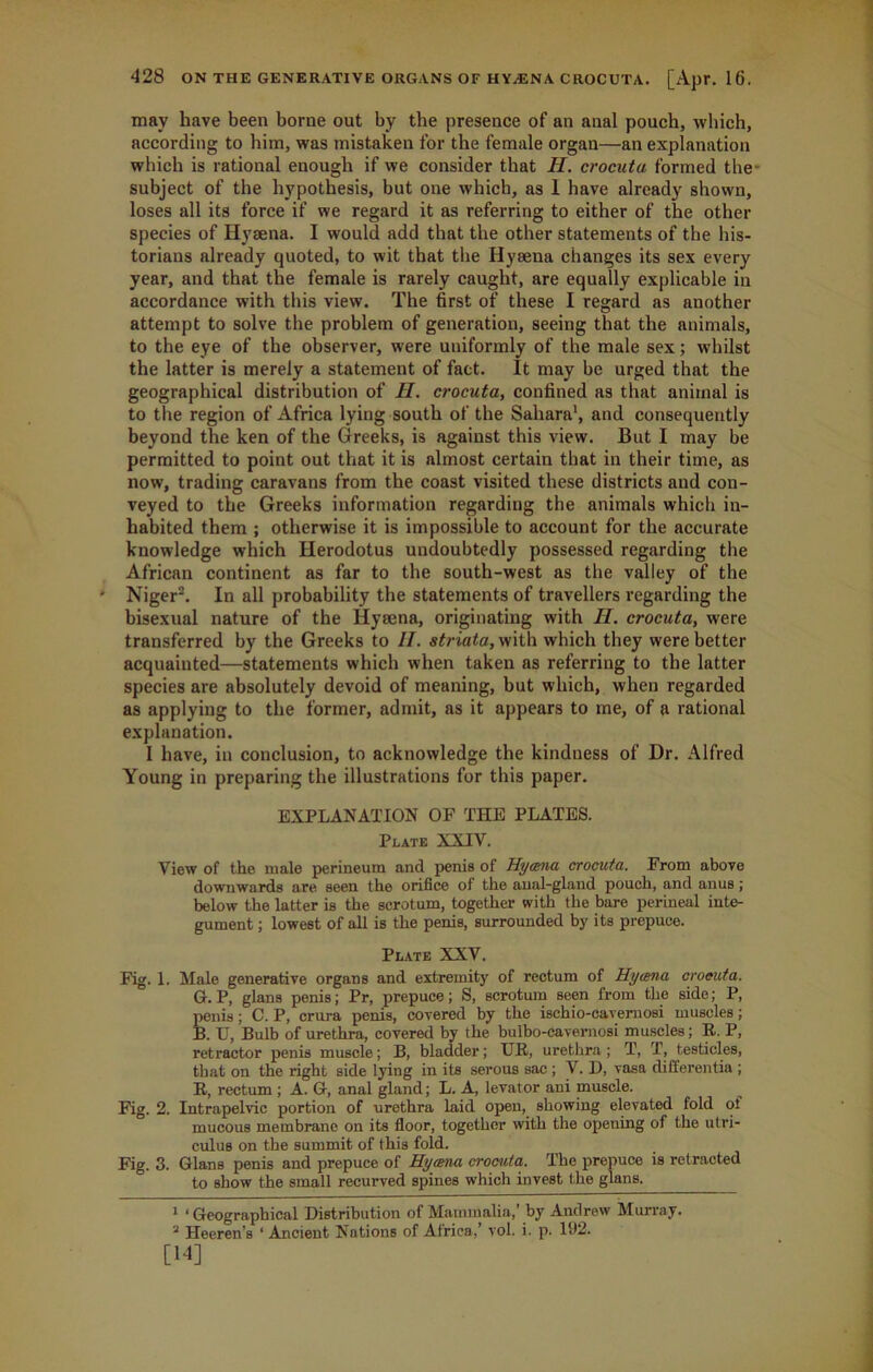 may have been borne out by the presence of an anal pouch, which, according to him, was mistaken for the female organ—an explanation which is rational enough if we consider that H. crocuta formed the- subject of the hypothesis, but one which, as 1 have already shown, loses all its force if we regard it as referring to either of the other species of Hysena. I would add that the other statements of the his- torians already quoted, to wit that the Hyaena changes its sex every year, and that the female is rarely caught, are equally explicable in accordance with this view. The first of these I regard as another attempt to solve the problem of generation, seeing that the animals, to the eye of the observer, were uniformly of the male sex; whilst the latter is merely a statement of fact. It may be urged that the geographical distribution of H. crocuta, confined as that animal is to the region of Africa lying south of the Sahara1, and consequently beyond the ken of the Greeks, is against this view. But I may be permitted to point out that it is almost certain that in their time, as now, trading caravans from the coast visited these districts and con- veyed to the Greeks information regarding the animals which in- habited them ; otherwise it is impossible to account for the accurate knowledge which Herodotus undoubtedly possessed regarding the African continent as far to the south-west as the valley of the Niger2. In all probability the statements of travellers regarding the bisexual nature of the Hyaena, originating with II. crocuta, were transferred by the Greeks to II. striata, with which they were better acquainted—statements which when taken as referring to the latter species are absolutely devoid of meaning, but which, when regarded as applying to the former, admit, as it appears to me, of a rational explanation. I have, in conclusion, to acknowledge the kindness of Dr. Alfred Young in preparing the illustrations for this paper. EXPLANATION OF THE PLATES. Plate XXIV. View of the male perineum and penis of Hycena crocuta. From above downwards are seen the orifice of the anal-gland pouch, and anus; below the latter is the scrotum, together with the bare perineal inte- gument ; lowest of all is the penis, surrounded by its prepuce. Plate XXV. Fig. 1. Male generative organs and extremity of rectum of Hycena crocuta. G. P, glans penis; Pr, prepuce; S, scrotum seen from the side; P, penis ; C. P, crura penis, covered by the ischio-caveraosi muscles; B. U, Bulb of urethra, covered by the bulbo-cavernosi muscles; R. P, retractor penis muscle; B, bladder; TJR, urethra; T, T, testicles, that on the right side lying in its serous sac ; V. D, rasa differentia ; R, rectum ; A. G, anal gland; L. A, levator ani muscle. Fig. 2. Intrapelvic portion of urethra laid open, showing elevated fold of mucous membrane on its floor, together with the opening of the utri- culus on the summit of this fold. Fig. 3. Gians penis and prepuce of Hycena crocuta. The prepuce is retracted to show the small recurved spines which invest the glans. 1 ‘Geographical Distribution of Mammalia,' by Andrew Murray. 2 Heeren’s ‘ Ancient Nations of Africa,' vol. i. p. 192. [14]