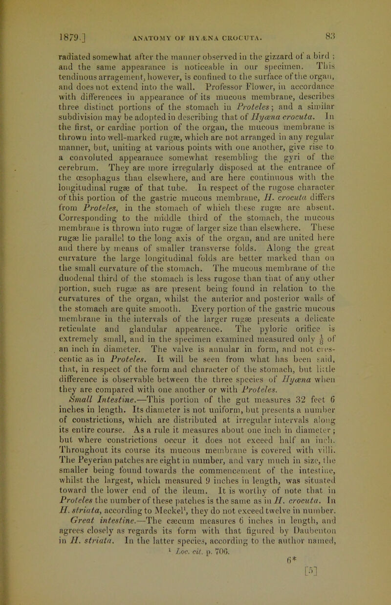 radiated somewhat after the manner observed in the gizzard ot a bird ; and the same appearance is noticeable in our specimen. This tendinous arragement, however, is confined to the surface of the organ, and does not extend into the wall. Professor Flower, in accordance with differences in appearance of its mucous membrane, describes three distinct portions of the stomach in Proteles; and a similar subdivision may be adopted in describing that of Hyaena crocuta. In the first, or cardiac portion of the organ, the mucous membrane is thrown into well-marked rugae, which are not arranged in any regular manner, but, uniting at various points with one another, give rise to a convoluted appearance somewhat resembling the gyri of the cerebrum. They are more irregularly disposed at the entrance of the oesophagus than elsewhere, and are here continuous with the longitudinal rugae of that tube. In respect of the rugose character of this portion of the gastric mucous membrane, II. crocuta differs from Proteles, in the stomach of which these rugae are absent. Corresponding to the middle third of the stomach, the mucous membrane is thrown into rugae of larger size than elsewhere. These rugae lie parallel to the long axis of the organ, and are united here and there by means of smaller transverse folds. Along the great curvature the large longitudinal folds are better marked than on the small curvature of the stomach. The mucous membrane of the duodenal third of the stomach is less rugose than that of any other portion, such rugae as are present being found in relation to the curvatures of the organ, whilst the anterior and posterior walls of the stomach are quite smooth. Every portion of the gastric mucous membrane in the intervals of the larger rugae presents a delicate reticulate and glandular appearence. The pyloric orifice is extremely small, and in the specimen examined measured only g of an inch in diameter. The valve is annular in form, and not cres- centic as in Proteles. It will be seen from what has been said, that, in respect of the form and character of the stomach, but little difference is observable between the three species of Hycena when they are compared with one another or with Proteles. Small Intestine.—This portion of the gut measures 32 feet 6 inches in length. Its diameter is not uniform, but presents a number of constrictions, which are distributed at irregular intervals along its entire course. As a rule it measures about one inch in diameter ; but where constrictions occur it does not exceed half an inch. Throughout its course its mucous membrane is covered with villi. The Peyerian patches are eight in number, and vary much in size, the smaller being found towards the commencement of the intestine, w'hilst the largest, which measured 9 inches in length, was situated toward the lower end of the ileum. It is worthy of note that in Proteles the number of these patches is the same as in II. crocuta. In II. striata, according to Meckel1, they do not exceed twelve in number. Great intestine.—The caecum measures 6 inches in length, and agrees closely as regards its form with that figured by Daubenton in II. striata. In the latter species, according to the author named, 1 Loc. cit. p. 706. fi* P]