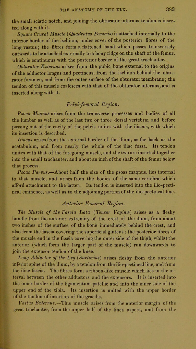 the small sciatic notch, and joining the obturator intemus tendon is inser- ted along with it. Square Crural Muscle (Quadratus Femoris) is attached internally to the inferior border of the ischium, under cover of the posterior fibres of the long vastus; the fibres form a flattened band which passes transversely outwards to be attached externally to a bony ridge on the shaft of the femur, which is continuous with the posterior border of the great trochanter. Obturator Externus arises from the pubic bone external to the origins of the adductor longus and pectineus, from the ischium behind the obtu- rator foramen, and from the outer surface of the obturator membrane; the tendon of this muscle coalesces with that of the obturator internus, and is inserted along with it. Pelvi-femoral Region. Psoas Magnus arises from the transverse processes and bodies of all the lumbar as well as of the last two or three dorsal vertebrae, and before passing out of the cavity of the pelvis unites with the iliacus, with which its insertion is described. Iliacus arises from the external border of the ilium, as far back as the acetabulum, and from nearly the whole of the iliac fossa. Its tendon unites with that of the foregoing muscle, and the two are inserted together into the small trochanter, and about an inch of the shaft of the femur below that process. Psoas Parvus.—About half the size of the psoas magnus, lies internal to that muscle, and arises from the bodies of the same vertebrae which afford attachment to the latter. Its tendon is inserted into the ilio-pecti- neal eminence, as well as to the adjoining portion of the ilio-pectineal line. Anterior Femoral Region. The Muscle of the Fascia Lata (Tensor Vaginae) arises as a fleshy bundle from the anterior extremity of the crest of the ilium, from about two inches of the surface of the bone immediately behind the crest, and also from the fascia covering the superficial gluteus; the posterior fibres of the muscle end in the fascia covering the outer side of the thigh, whilst the anterior (which form the larger part of the muscle) run downwards to join the extensor tendon of the knee. Long Adductor of the Leg (Sartorius) arises fleshy from the anterior inferior spine of the ilium, by a tendon from the ilio-pectineal line, and from the iliac fascia. The fibres form a ribbon-like muscle which lies in the in- terval between the other adductors and the extensors. It is inserted into the inner border of the ligamentum patellae and into the inner side of the upper end of the tibia. Tts insertion is united with the upper border of the tendon of insertion of the gracilis. Vastus Externus.—This muscle arises from the anterior margin of the great trochanter, from the upper half of the linea aspera, and from the