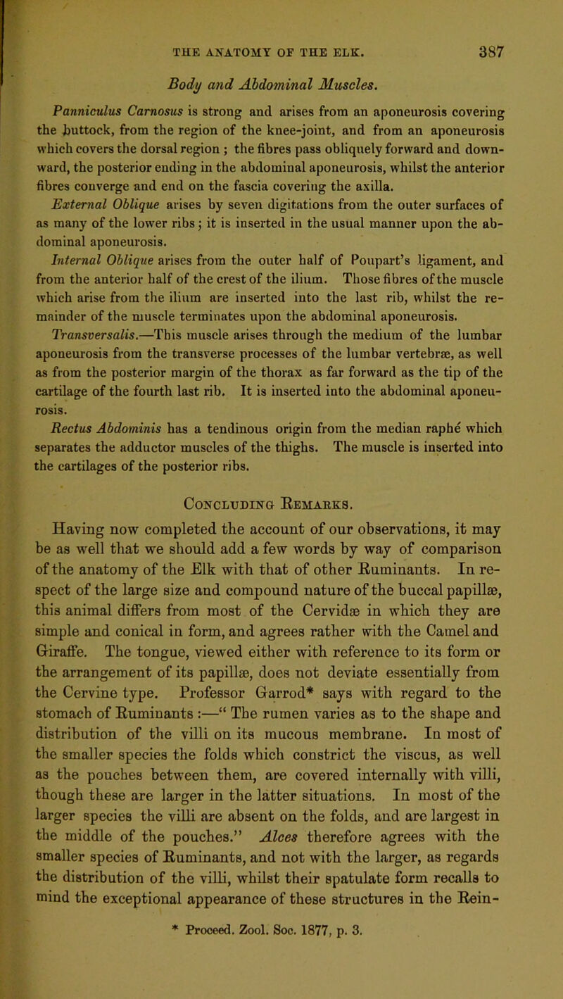 Body and Abdominal Muscles. Panniculus Camosus is strong and arises from an aponeurosis covering the huttock, from the region of the knee-joint, and from an aponeurosis which covers the dorsal region ; the fibres pass obliquely forward and down- ward, the posterior ending in the abdominal aponeurosis, whilst the anterior fibres converge and end on the fascia covering the axilla. External Oblique arises by seven digitations from the outer surfaces of as many of the lower ribs; it is inserted in the usual manner upon the ab- dominal aponeurosis. Internal Oblique arises from the outer half of Poupart’s ligament, and from the anterior half of the crest of the ilium. Those fibres of the muscle which arise from the ilium are inserted into the last rib, whilst the re- mainder of the muscle terminates upon the abdominal aponeurosis. Transversails.—This muscle arises through the medium of the lumbar aponeurosis from the transverse processes of the lumbar vertebrae, as well as from the posterior margin of the thorax as far forward as the tip of the cartilage of the fourth last rib. It is inserted into the abdominal aponeu- rosis. Rectus Abdominis has a tendinous origin from the median raphe which separates the adductor muscles of the thighs. The muscle is inserted into the cartilages of the posterior ribs. Concluding- Remarks. Having now completed the account of our observations, it may be as well that we should add a few words by way of comparison of the anatomy of the Elk with that of other Ruminants. In re- spect of the large size and compound nature of the buccal papillae, this animal differs from most of the Cervidae in which they are simple and conical in form, and agrees rather with the Camel and Giraffe. The tongue, viewed either with reference to its form or the arrangement of its papillae, does not deviate essentially from the Cervine type. Professor Garrod* says with regard to the stomach of Ruminants :—“ The rumen varies as to the shape and distribution of the villi on its mucous membrane. In most of the smaller species the folds which constrict the viscus, as well as the pouches between them, are covered internally with villi, though these are larger in the latter situations. In most of the larger species the villi are absent on the folds, and are largest in the middle of the pouches.” Aloes therefore agrees with the smaller species of Ruminants, and not with the larger, as regards the distribution of the villi, whilst their spatulate form recalls to mind the exceptional appearance of these structures in the Rein-