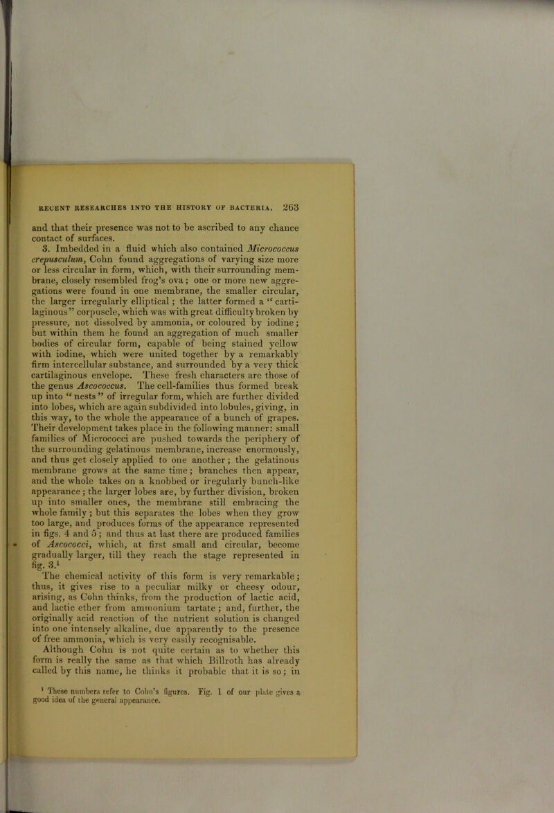 and that their presence was not to be ascribed to any chance contact of surfaces. 3. Imbedded in a fluid which also contained Micrococcus crepusculum, Cohn found aggregations of varying size more or less circular in form, which, with their surrounding mem- brane, closely resembled frog’s ova; one or more new aggre- gations were found in one membrane, the smaller circular, the larger irregularly elliptical; the latter formed a “ carti- laginous” corpuscle, which was with great difficulty broken by pressure, not dissolved by ammonia, or coloured by iodine; but within them he found an aggregation of much smaller bodies of circular form, capable of being stained yellow with iodine, which were united together by a remarkably firm intercellular substance, and surrounded by a very thick cartilaginous envelope. These fresh characters are those of the genus Ascococcus. The cell-families thus formed break up into “ nests ” of irregular form, which are further divided into lobes, which are again subdivided into lobules, giving, in this way, to the whole the appearance of a bunch of grapes. Their development takes place in the following manner: small families of Micrococci are pushed towards the periphery of the surrounding gelatinous membrane, increase enormously, and thus get closely applied to one another; the gelatinous membrane grows at the same time; branches then appear, and the whole takes on a knobbed or iregularly bunch-like appearance; the larger lobes are, by further division, broken up into smaller ones, the membrane still embracing the whole family ; but this separates the lobes when they grow too large, and produces forms of the appearance represented in figs. 4 and 5; and thus at last there are produced families of Ascococci, which, at first small and circular, become gradually larger, till they reach the stage represented in fig-3.1 The chemical activity of this form is very remarkable; thus, it gives rise to a peculiar milky or cheesy odour, arising, as Cohn thinks, from the production of lactic acid, and lactic ether from ammonium tartate ; and, further, the originally acid reaction of the nutrient solution is changed into one intensely alkaline, due apparently to the presence of free ammonia, which is very easily recognisable. Although Cohn is not quite certain as to whether this form is really the same as that which Billroth has already called by this name, he thinks it probable that it is so; in 1 These numbers refer to Colin’s figures. Fig. 1 of our plate gives a good idea of the general appearance.