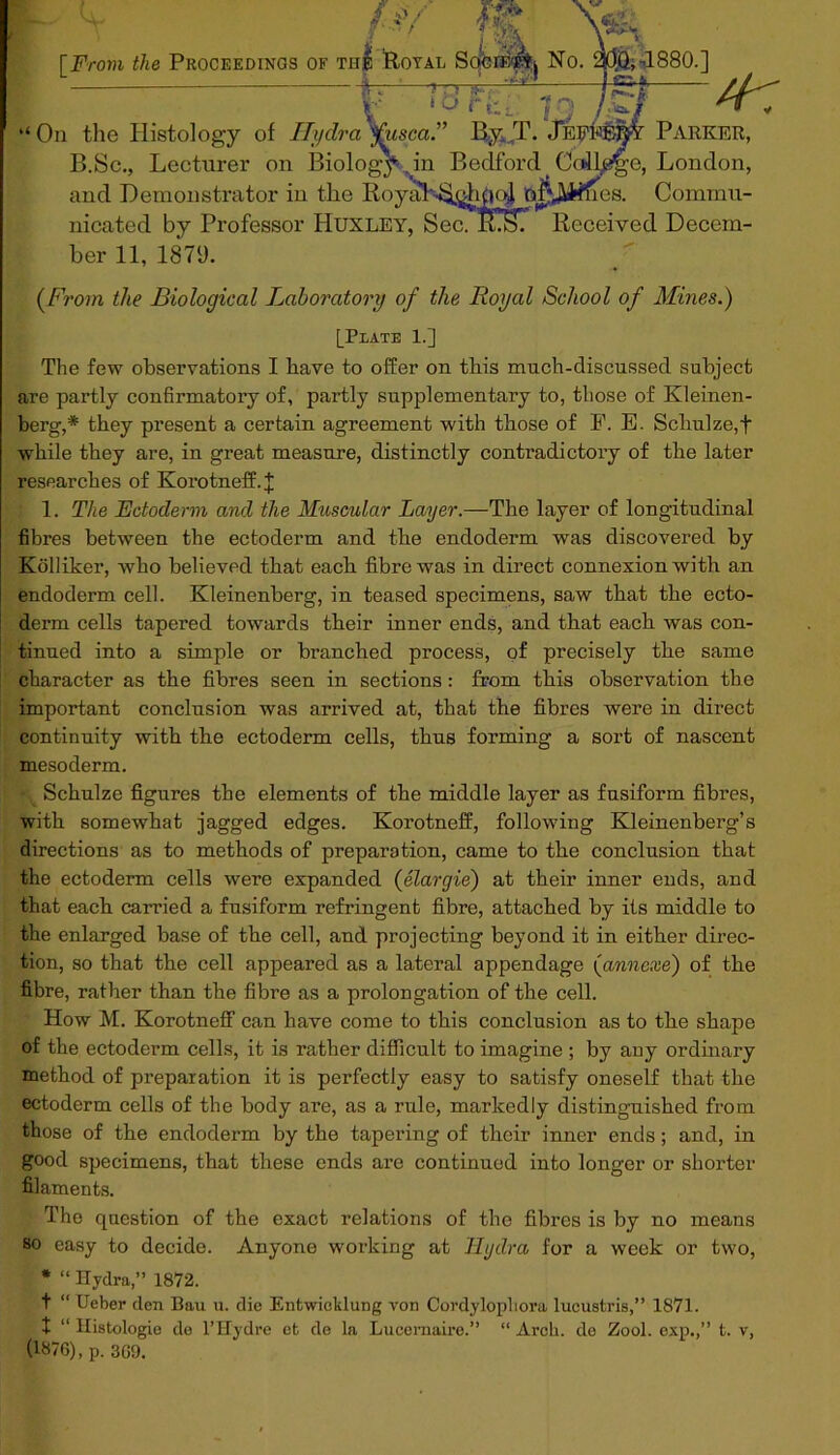 t f-sy [From i/ie Proceedings of the Royal SocrE'^j No. ~r~r >Q,d880.] H: r 'biriii ]Q / “ On the Histology of Hydra fusca.” By, T. jEEEEj^r Parkek, B.Sc., Lecturer on Biology , in Bedford Collie, London, and Demonstrator in the RoyaLf^ghaOjl of'Jkimes. Commu- nicated by Professor Huxley, Sec. ITsT Received Decem- ber 11, 1870. (From the Biological Laboratory of the Royal School of Mines.) [Plate 1.] The few observations I have to offer on this much-discussed subject are partly confirmatory of, partly supplementary to, those of Kleinen- berg,* they present a certain agreement with those of P. E. Schulze,f while they are, in great measure, distinctly contradictory of the later researches of Korotneff. J 1. The Ectoderm and the Muscular Layer.—The layer of longitudinal fibres between the ectoderm and the endoderm was discovered by Kolliker, who believed that each fibre was in direct connexion with an endoderm cell. Kleinenberg, in teased specimens, saw that the ecto- derm cells tapered towards their inner ends, and that each was con- tinued into a simple or branched process, of precisely the same character as the fibres seen in sections : from this observation the important conclusion was arrived at, that the fibres were in direct continuity with the ectoderm cells, thus forming a sort of nascent mesoderm. Schulze figures the elements of the middle layer as fusiform fibres, with somewhat jagged edges. Korotneff, following Kleinenberg’s directions as to methods of preparation, came to the conclusion that the ectoderm cells were expanded (elargie) at their inner ends, and that each carried a fusiform refringent fibre, attached by its middle to the enlarged base of the cell, and projecting beyond it in either direc- tion, so that the cell appeared as a lateral appendage (annexe) of the fibre, rather than the fibre as a prolongation of the cell. How M. Korotneff can have come to this conclusion as to the shape of the ectoderm cells, it is rather difficult to imagine; by any ordinary method of preparation it is perfectly easy to satisfy oneself that the ectoderm cells of the body are, as a rule, markedly distinguished from those of the endoderm by the tapering of their inner ends; and, in good specimens, that these ends are continued into longer or shorter filaments. ■ The question of the exact relations of the fibres is by no means so easy to decide. Anyone working at Hydra for a week or two, * “ Hydra,” 1872. t “ Ueber den Bari u. die Entwicklung von Cordylopliora lucustris,” 1871. t “ Histologie de l’Hydre et de la Lucemaire.” “ Arch, de Zool. exp.,” t. v, (1«7G), p. 309.