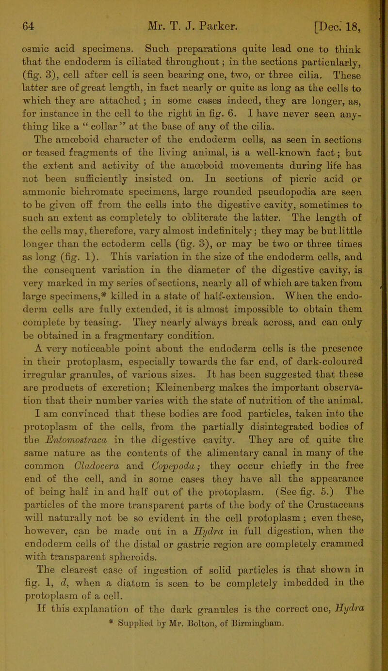 osmic acid specimens. Such preparations quite lead one to think that the endoderm is ciliated throughout; in the sections particularly, (fig. 3), cell after cell is seen bearing one, two, or three cilia. These latter are of great length, in fact nearly or quite as long as the cells to which they are attached ; in some cases indeed, they are longer, as, for instance in the cell to the right in fig. 6. I have never seen any- thing like a “ collar ” at the base of any of the cilia. The amoeboid character of the endoderm cells, as seen in sections or teased fragments of the living animal, is a well-known fact; but the extent and activity of the amoeboid movements during life has not been sufficiently insisted on. In sections of pici’ic acid or amnionic bichromate specimens, large rounded pseudopodia are seen to be given off from the cells into the digestive cavity, sometimes to such an extent as completely to obliterate the latter. The length of the cells may, therefore, vary almost indefinitely ; they may be but little longer than the ectoderm cells (fig. 3), or may be two or three times as long (fig. 1). This variation in the size of the endoderm cells, and the consequent variation in the diameter of the digestive cavity, is very marked in my series of sections, nearly all of which are taken from large specimens,* killed in a state of half-extension. When the endo- derm cells are fully extended, it is almost impossible to obtain them complete by teasing. They nearly always break across, and can only be obtained in a fragmentary condition. A very noticeable point about the endoderm cells is the presence in their protoplasm, especially towards the far end, of dark-coloured irregular granules, of various sizes. It has been suggested that these are products of excretion; Kleinenberg makes the important observa- tion that their number varies with the state of nutrition of the animal. I am convinced that these bodies are food particles, taken into the protoplasm of the cells, from the partially disintegrated bodies of the Entomostraca in the digestive cavity. They are of quite the same nature as the contents of the alimentary canal in many of the common Cladocera and Copepoda; they occur chiefly in the free end of the cell, and in some cases they have all the appearance of being half in and half out of the protoplasm. (See fig. 5.) The particles of the more transparent parts of the body of the Crustaceans will naturally not be so evident in the cell protoplasm ; even these, however, can be made out in a Hydra in full digestion, when the endoderm cells of the distal or gastric region are completely crammed with transparent spheroids. The clearest case of ingestion of solid particles is that shown in fig. 1, d, when a diatom is seen to be completely imbedded in the protoplasm of a cell. If this explanation of the dark granules is the correct one, Hydra * Supplied by Mr. Bolton, of Birmingham.