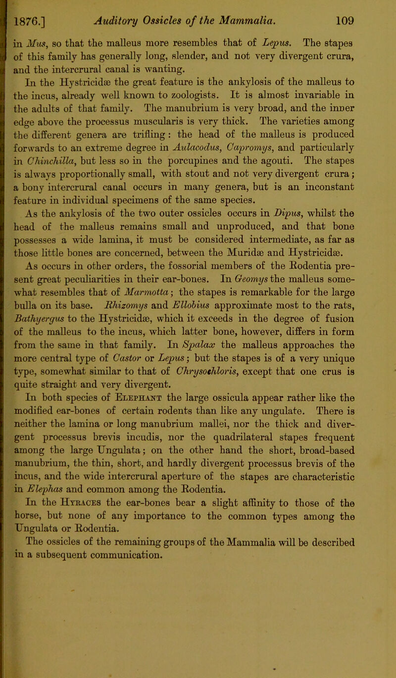 in Mus, so that the malleus more resembles that of Lepus. The stapes of this family has generally long, slender, and not very divergent crura, and the intercrural canal is wanting. In the Hystricidae the great feature is the ankylosis of the malleus to the incus, already well known to zoologists. It is almost invariable in the adults of that family. The manubrium is very broad, and the inner edge above the processus muscularis is very thick. The varieties among the different genera are trifling: the head of the malleus is produced forwards to an extreme degree in Aulacodus, Capromys, and particularly in Chinchilla, but less so in the porcupines and the agouti. The stapes is always proportionally small, with stout and not very divergent crura; a bony intercrural canal occurs in many genera, but is an inconstant feature in individual specimens of the same species. As the ankylosis of the two outer ossicles occurs in Bipus, whilst the head of the malleus remains small and unproduced, and that bone possesses a wide lamina, it must be considered intermediate, as far as those little bones are concerned, between the Muridae and Hystricidae. As occurs in other orders, the fossorial members of the Eodentia pre- sent great peculiarities in their ear-bones. In Geomys the malleus some- what resembles that of Marmotta; the stapes is remarkable for the large bulla on its base. Rhizomys and Ellobius approximate most to the rats, Bathyergus to the Hystricidae, which it exceeds in the degree of fusion of the malleus to the incus, which latter bone, however, differs in form from the same in that family. In Spalax the malleus approaches the more central type of Castor or Lepus; but the stapes is of a very unique type, somewhat similar to that of Chrysothloris, except that one crus is quite straight and very divergent. In both species of Elephant the large ossicula appear rather like the modified ear-bones of certain rodents than like any ungulate. There is neither the lamina or long manubrium mallei, nor the thick and diver- gent processus brevis incudis, nor the quadrilateral stapes frequent among the large Ungulata; on the other hand the short, broad-based manubrium, the thin, short, and hardly divergent processus brevis of the incus, and the wide intercrural aperture of the stapes are characteristic in Elephas and common among the Eodentia. In the Hyuaces the ear-bones bear a slight affinity to those of the horse, but none of any importance to the common types among the Ungulata or Eodentia. The ossicles of the remaining groups of the Mammalia will be described in a subsequent communication.