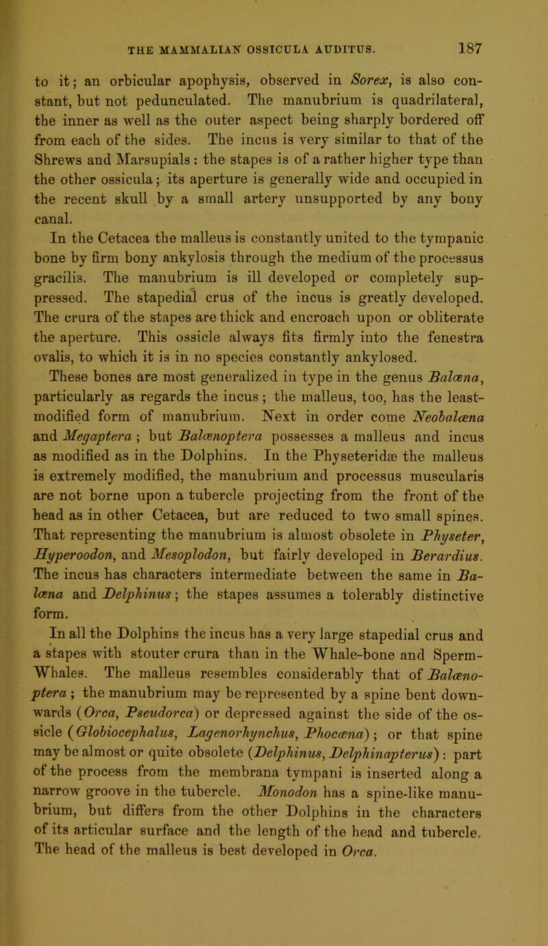 to it; au orbicular apophysis, observed iu Sorex, is also con- stant, but not pedunculated. The manubrium is quadrilateral, the inner as well as the outer aspect being sharply bordered off from each of the sides. The incus is very similar to that of the Shrews and Marsupials : the stapes is of a rather higher type than the other ossicula; its aperture is generally wide and occupied in the recent skull by a small artery unsupported by any bony canal. In the Cetacea the malleus is constantly united to the tympanic bone by firm bony ankylosis through the medium of the processus gracilis. The manubrium is ill developed or completely sup- pressed. The stapedial crus of the incus is greatly developed. The crura of the stapes are thick and encroach upon or obliterate the aperture. This ossicle always fits firmly into the fenestra ovalis, to which it is in no species constantly ankylosed. These bones are most generalized in type in the genus Balcena, particularly as regards the incus; the malleus, too, has the least- modified form of manubrium. Next in order come Neoibalcena and Megaptera ; but Balcenoptera possesses a malleus and incus as modified as in the Dolphins. In the Physeterid® the malleus is extremely modified, the manubrium and processus muscularis are not borne upon a tubercle projecting from the front of the head as in other Cetacea, but are reduced to two small spines. That representing the manubrium is almost obsolete in Physeter, Hyperoodon, and Mesoplodon, but fairly developed in Berardius. The incus has characters intermediate between the same in Ba- lcena and JDelphinus; the stapes assumes a tolerably distinctive form. In all the Dolphins the incus has a very large stapedial crus and a stapes with stouter crura than in the Whale-bone and Sperm- Whales. The malleus resembles considerably that of Balceno- ptera ; the manubrium may be represented by a spine bent down- wards (Orca, Pseudorca) or depressed against the side of the os- sicle (Globiocephalus, Lagenorhynchus, Phocccna) ; or that spine may be almost or quite obsolete (JDelphinus, Belphinapterus') : part of the process from the membrana tympani is inserted along a narrow groove in the tubercle. Monodon has a spine-like manu- brium, but differs from the other Dolphins in the characters of its articular surface and the length of the head and tubercle. The head of the malleus is best developed in Orca.