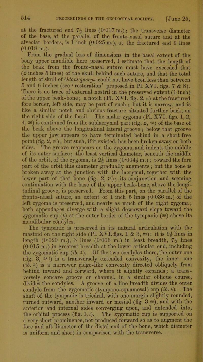 at the fractured end 7\ lines (0-017 m.); the transverse diameter of the base, at the parallel of the fronto-nasal suture and at the alveolar borders, is 1 inch (0-025 m.), at the fractured end 9 lines (0-018 m.). From the gradual loss of dimensions in the basal extent of the bony upper mandible here preserved, I estimate that the length of the beak from the fronto-nasal suture must have exceeded that (2 inches 5 lines) of the skull behind such suture, and that the total length of skull of Odontopteryx could not have been less than between 5 and 6 inches (see ‘restoration’ proposed in PLXVI. figs. 7 & 8). There is no trace of external nostril in the preserved extent (1 inch) of the upper beak-bone; a notch (PI. XYI. fig. 2, ») at the fractured fore border, left side, may be part of such ; but it is narrow, and is like a similar notch and obvious fracture situated further back, on the right side of the fossil. The malar zygoma (PI. XYI. figs. 1, 2, 4, 26) is continued from the sublacrymal part (fig. 2, 73) of the base of the beak above the longitudinal lateral groove; below that groove the upper jaw appears to have terminated behind in a short free point (fig. 2,21); but such, if it existed, has been broken away on both sides. The groove reappears on the zygoma, and indents the middle of its outer surface; the least vertical diameter, beneath the middle of the orbit, of the zygoma, is 2| lines (0004| m.) ; toward the fore part of the orbit this diameter gradually augments ; but the bone is broken away at the junction with the lacrymal, together with the lower part of that bone (fig. 2, 73); its conjunction and seeming continuation with the base of the upper beak-bone, above the longi- tudinal groove, is preserved. From this part, on the parallel of the fronto-nasal suture, an extent of 1 inch 5 lines (0-036 m.) of the left zygoma is preserved, and nearly as much of the right zygoma; both appendages diverge with a slight downward slope toward the zygomatic cup (a) at the outer border of the tympanic (28) above its mandibular condyles. The tympanic is preserved in its natural articulation with the mastoid on the right side (PI. XYI. figs. 1 & 3, 28): it is 9| lines in length (0-020 m.), 3 lines (0-006 m.) in least breadth, 7g lines (0-015 m.) in greatest breadth at the lower articular end, including the zygomatic cup (ib. h). Of the two condyles there, the outer one (fig. 3, 28 £) is a transversely extended convexity, the inner one (ib. fc) is a narrower ridge-like convexity directed obliquely from behind inward and forward, where it slightly expands; a trans- versely concave groove or channel, in a similar oblique course, divides the condyles. A groove of a line breadth divides the outer condyle from the zygomatic (tympano-squamosal) cup (ib. a). The shaft of the tympanic is triedral, with one margin slightly rounded, turned outward, another inward or mesiad (fig. 3 28), and with the anterior and internal sides converging upon, and extended into, the orbital process (fig. 1,7). The zygomatic cup is supported on a very short prominence, not produced forward so as to augment the fore and aft diameter of the distal end of the bone, which diameter is uniform and short in comparison with the transverse.