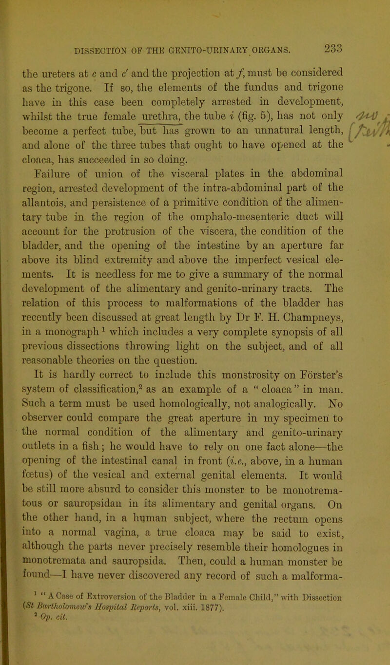 the ureters at c and c' and the projection at /,niust be considered as the trigone. If so, the elements of the fundus and trigone have in this case been completely arrested in development, whilst the true female uretlira, the tube i (fig. 5), has not only become a perfect tube, but has grown to an unnatural length, f and alone of the three tubes that ought to have opened at the ^ cloaca, has succeeded in so doing. Failure of union of the visceral plates in the abdominal region, arrested development of the intra-abdominal part of the allantois, and persistence of a primitive condition of the alimen- tary tube in the region of the omphalo-mesenteric duct will account for the protrusion of the viscera, the condition of the bladder, and the opening of the intestine by an aperture far above its blind extremity and above the imperfect vesical ele- ments. It is needless for me to give a summary of the normal development of the alimentary and genito-urinary tracts. The relation of this process to malformations of the bladder has recently been discussed at great length by Dr F. H. Champneys, in a monograph ^ which includes a very complete synopsis of all previous dissections throwing light on the subject, and of all reasonable theories on the question. It is hardly correct to include this monstrosity on Forster’s system of classification,^ as an example of a “ cloaca ” in man. Such a term must be used homologically, not analogically. No observer could compare the great aperture in my specimen to the normal condition of the alimentary and genito-urinary outlets in a fish; he would have to rely on one fact alone—the opening of the intestinal canal in front {i.e., above, in a human foetus) of the vesical and external genital elements. It would be still more absurd to consider this monster to be monotrema- tous or sauropsidau in its alimentary and genital organs. On the other hand, in a human subject, where the rectum opens into a normal vagina, a true cloaca may be said to exist, although the parts never precisely resemble their homologues in monotremata and sauropsida. Then, could a human monster be found—I have never discovered any record of such a nmlforma- ’ “ A Case of Extroversion of the Bladder in a Female Child,” with Dissection {St Bartholomew’s Hospital Reports, vol. xiii. 1877). ’ Op. cit.