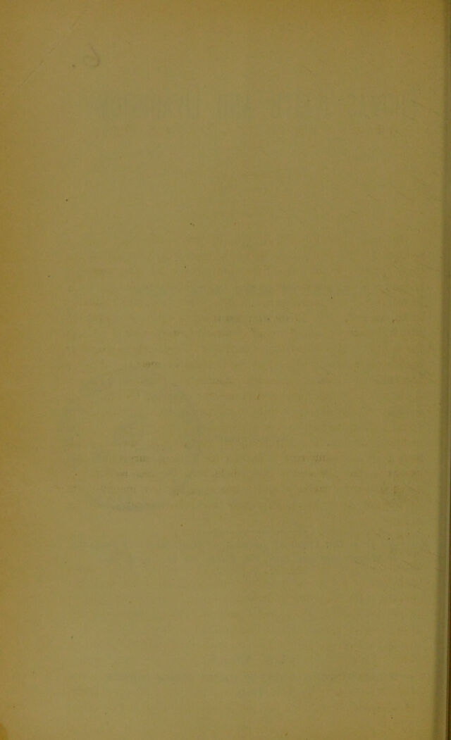 digitised image 2