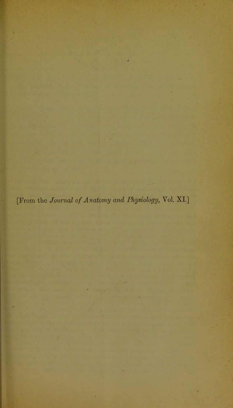 [From the Journal of Anatomy and Physiology, Vol. XI.]