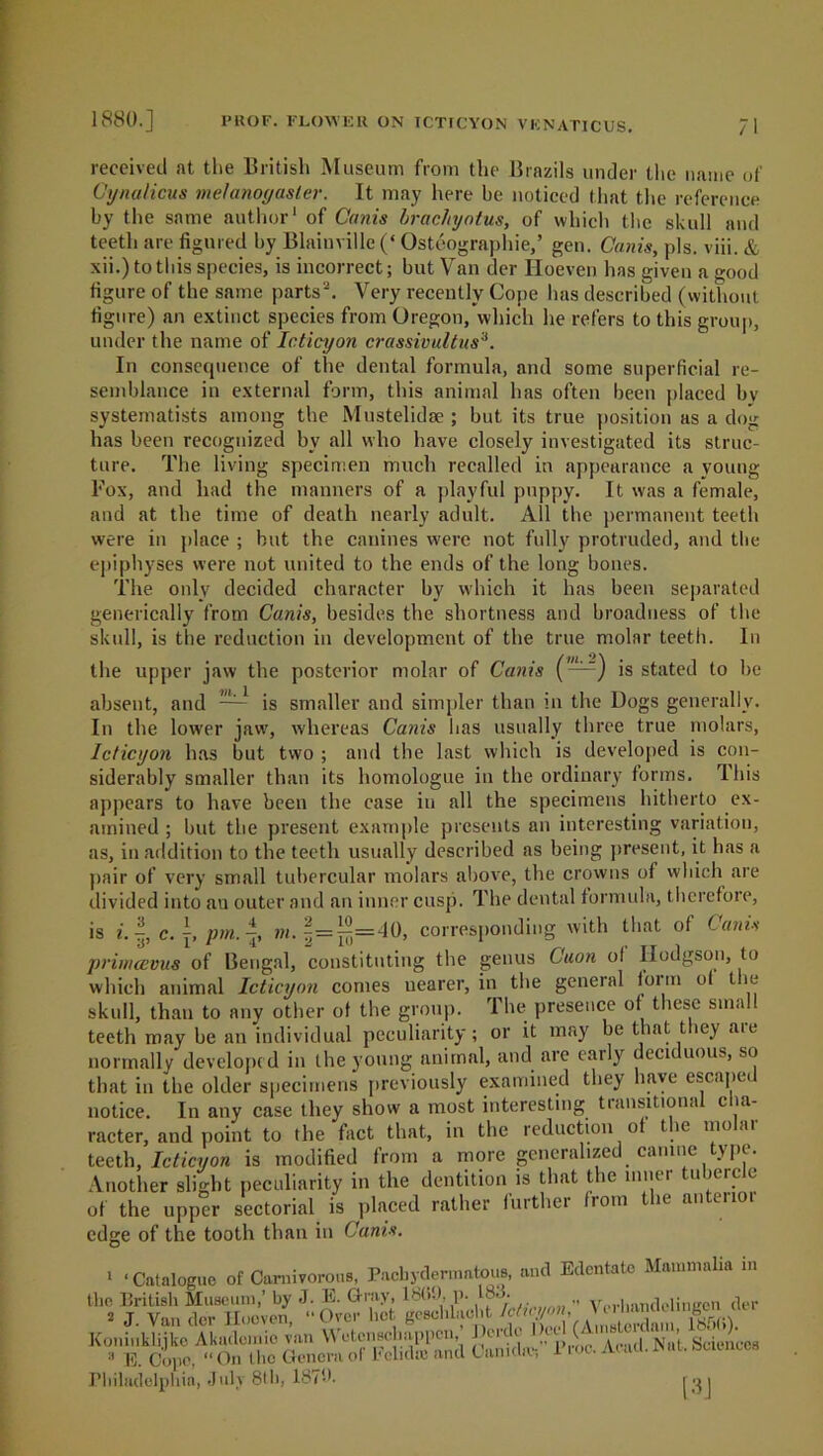 / received at the British Museum from the Brazils under the name of Gynalicus melanogasler. It may here be noticed that the reference by the same author1 of Canis brachyotus, of which the skull and teeth are figured by Blainville (‘ Osteographie,’ gen. Canis, pis. viii. & xii.) to this species, is incorrect; but Van der Iloeven has given a good figure of the same parts2. Very recently Cope lias described (without figure) an extinct species from Oregon, which he refers to this group, under the name of Icticyon crassivultus3. In consetpience of the dental formula, and some superficial re- semblance in external form, this animal has often been placed bv systematists among the Mustelidse ; but its true position as a dog has been recognized by all who have closely investigated its struc- ture. The living specimen much recalled in appearance a young Fox, and had the manners of a playful puppy. It was a female, and at the time of death nearly adult. All the permanent teeth were in place ; but the canines were not fully protruded, and the epiphyses were not united to the ends of the long bones. The only decided character by which it has been separated generically from Canis, besides the shortness and broadness of the skull, is the reduction in development of the true molar teeth. In the upper jaw the posterior molar of Canis (—) is stated to be absent, and — is smaller and simpler than in the Dogs generally. In the lower jaw, whereas Canis has usually three true molars, Icticyon has but two ; and the last which is developed is con- siderably smaller than its homologue in the ordinary forms. This appears to have been the case in all the specimens hitherto ex- amined ; but the present example presents an interesting variation, as, in addition to the teeth usually described as being present, it has a pair of very small tubercular molars above, the crowns of which are divided into an outer and an inner cusp. The dental formula, therefore, is i. |, c. j, pm. (j) »/. ==^=-40, corresponding with that of Canis 'primoBVus of Bengal, constituting the genus Cuon ol Hodgson, to which animal Icticyon comes nearer, in the general loiin ol t le skull, than to any other of the group. The presence of these sma teeth may be an individual peculiarity ; or it may be that they are normally developed in the young animal, and are early deciduous, so that in the older specimens previously examined they have escaped notice. In any case they show a most interesting transitional cha- racter, and point to the fact that, in the reduction of the molar teeth, Icticyon is modified from a more generalized canine type. Another slight peculiarity in the dentition is that the inner tubercle of the upper sectorial is placed rather further from the anteiiot edge of the tooth than in Canis. 1 ‘Catalogue of Carnivorous, Pachydermatous, and Edentate Mammalia in e British Museum,’ by J. E. Gray, 18(»9, p. loo. „ V |...„fi1i;rl£ren aer 2 j Vn„ rW Uneven “Over bet geschbioht Icttcyon, \ ei Irnnck linen,’ Dcrdc Duel (Amsterdam, loot*], in n.nd Canidiv, Proa Acad. Nat. Sciences [3J the . . J. Van der Hooven, “ Over hot gcselii Koninkliike Akademie van Wetonschappcn, :l E. Cope, “On the Genera of Fclidro and Lamcliv-, Philadelphia, July 8th, 187b.