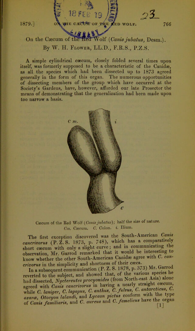 digitised image 1