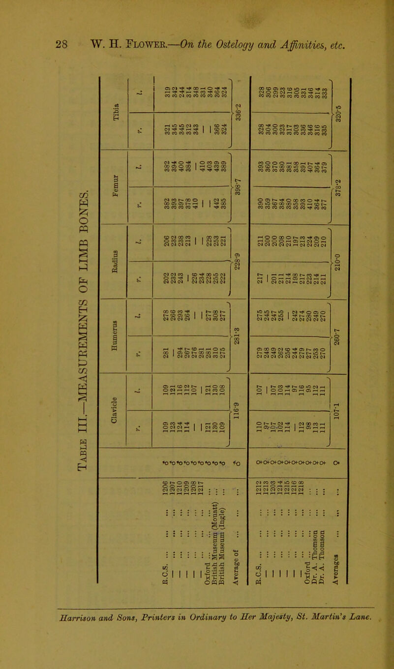 Table III.—MEASUREMENTS OF LIMB BONES. .. — -* eo ■** CO d n WNcoeOMcorow COCOC1COCD»0<—•CD-'-fCO ciocici-—iOco*r-*eo cocodcocoeococococo a d *0 HiOONW | . CO r*« Cl ■'1* to Cl CO CO CO CO CO 1 1 CO CO OO-^OCOC-COCOCOCDO CIOCNhOTO^hco cocococococoeoeococo - a a © d -«* O ,0600101 00 Cl O CO 1 rH O CO CO CO CO CO 1 ft' CO c- . GO I °1 COOOOHOOHis^O) OltDNOOOOCOOCOh' COCOCOCOCOCOCOTf'COCO d cl co oo o | , <M kO cb ci ci t- r-. oo CO CO CO CO ^ 1 1 ■*}» CO O O N->fO COCOON N Cl |Q CD CO CO iC O -H (D COCOCOCOCOCOCOt^COCO > - *> co ci oo co , , go co »—< O cO co «—« I Cl O Cl d Cl Cl Cl 1 1 Cl Cl Cl HOOOOONMTCftO r—'OOOf—iCli—(CIO-—1 dddddr-tdddd 3 228-9 © 202 232 243 226 234 228 255 222 I —*1—••^CO^-CO'vt<r-l r-i O^-HOHIMhH Cl ' ddd-—.dddd rH d « 2 © CO CD CO -f , | N00 1- 1'- CO Cl CO 1 I t— © t— Cl Cl d d 1 1 d CO d CO -N »C lO I— >0 I N^OCIO -f ** to 00 1^* dddd 'ddddci w K r-t , ■'f CD O lO 00 1 Cl CD I'- 00 OQ ^ d 1 d Cl d d d CO d oo d OlOOClClCDrfOr^COO f— H* H* CD tO -tf< dddddddddCl § Cl > > 'N © o ~ OHCD1MS , HOOO ON-H--0 | Cl CO o Cl t*- | NW-^h-CDONt-1 O | OOhOhOhh rH s o Cl CO , , ho® OCIOlH | | Cl CO o o r- ci -* | ci oo co r-H —' OJ-C.O — —< Ol .-h ,H rH HHH 1 H HH O J *o*o*o*o*ofo*o*o*o *o CH-Of Of O Of O Of OOf o O (Dh-OCOON O O — O O —1 ci ci ci ci d ci : : • - : Cl CO co ^ O CD 00 ci d d ci ci d ci : • • HrlrHHrtrlH • 2 : E.C.S Oxford ... British Museum (Mouatt) British Museum (Ingle) Average of E.C.S Oxford Dr. A. Thomson Dr. A. Thomson Averages ... ... Harrison and Sons, Printers in Ordinary to Her Majesty, St. Martin's Lane.