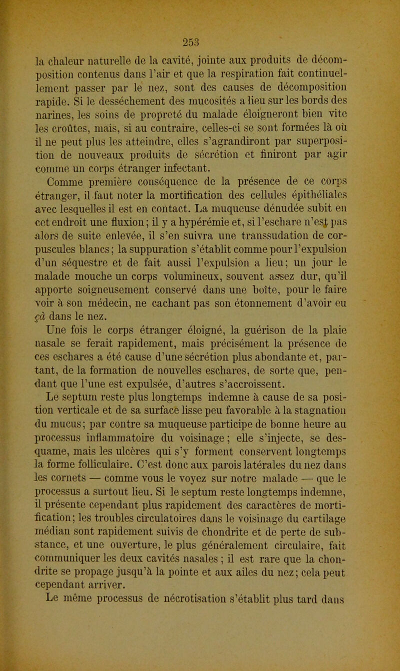 la chaleur naturelle de la cavité, jointe aux produits de décom- position contenus dans l’air et que la respiration fait continuel- lement passer par le nez, sont des causes de décomposition rapide. Si le dessèchement des mucosités a lieu sur les bords des narines, les soins de propreté du malade éloigneront bien vite les croûtes, mais, si au contraire, celles-ci se sont formées là où il ne peut plus les atteindre, elles s’agrandiront par superposi- tion de nouveaux produits de sécrétion et finiront par agir comme un corps étranger infectant. Comme première conséquence de la présence de ce corps étranger, il faut noter la mortification des cellules épithéliales avec lesquelles il est en contact. La muqueuse dénudée subit en cet endroit une fluxion ; il y a hypérémie et, si l’eschare n’es£ pas alors de suite enlevée, il s’en suivra une transsudation de cor- puscules blancs; la suppuration s’établit comme pour l’expulsion d’un séquestre et de fait aussi l’expulsion a lieu; un jour le malade mouche un corps volumineux, souvent assez dur, qu’il apporte soigneusement conservé dans une boîte, pour le faire voir à son médecin, ne cachant pas son étonnement d’avoir eu çà dans le nez. Une fois le corps étranger éloigné, la guérison de la plaie nasale se ferait rapidement, mais précisément la présence de ces eschares a été cause d’une sécrétion plus abondante et, par- tant, de la formation de nouvelles eschares, de sorte que, pen- dant que l’une est expulsée, d’autres s’accroissent. Le septum reste plus longtemps indemne à cause de sa posi- tion verticale et de sa surface lisse peu favorable à la stagnation du mucus ; par contre sa muqueuse participe de bonne heure au processus inflammatoire du voisinage ; elle s’injecte, se des- quame, mais les ulcères qui s’y forment conservent longtemps la forme folliculaire. C’est donc aux parois latérales du nez dans les cornets — comme vous le voyez sur notre malade — que le processus a surtout lieu. Si le septum reste longtemps indemne, il présente cependant plus rapidement des caractères de morti- fication ; les troubles circulatoires dans le voisinage du cartilage médian sont rapidement suivis de chondrite et de perte de sub- stance, et une ouverture, le plus généralement circulaire, fait communiquer les deux cavités nasales ; il est rare que la chon- drite se propage jusqu’à la pointe et aux ailes du nez; cela peut cependant arriver. Le même processus de nécrotisation s’établit plus tard dans