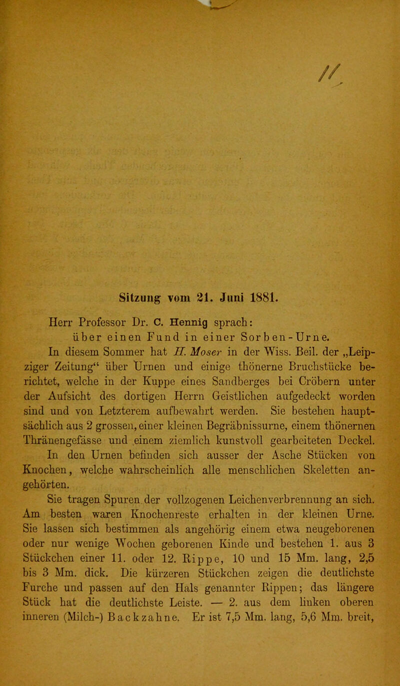 Sitzung vom 21. Juni 1881. Herr Professor Dr. C. Hennig sprach: über einen Fund in einer Sorben-Urne. In diesem Sommer hat H. Moser in der Wiss. Beil, der „Leip- ziger Zeitung“ über Urnen und einige thönerne Bruchstücke be- richtet, welche in der Kuppe eines Sandberges bei Cröbern unter der Aufsicht des dortigen Herrn Geistlichen aufgedeckt worden sind und von Letzterem aufbewahrt werden. Sie bestehen haupt- sächlich aus 2 grossen, einer kleinen Begräbnissurne, einem thönernen Tlrränengefässe und einem ziemlich kunstvoll gearbeiteten Deckel. In den Urnen befinden sich ausser der Asche Stücken von Knochen, welche wahrscheinlich alle menschlichen Skeletten an- gehörten. Sie tragen Spuren der vollzogenen Leichenverbrennung an sich. Am besten waren Knochenreste erhalten in der kleinen Urne. Sie lassen sich bestimmen als angehörig einem etwa neugeborenen oder nur wenige Wochen geborenen Kinde und bestehen 1. aus 3 Stückchen einer 11. oder 12. Rippe, 10 und 15 Mm. lang, 2,5 bis 3 Mm. dick. Die kürzeren Stückchen zeigen die deutlichste Furche und passen auf den Hals genannter Rippen; das längere Stück hat die deutlichste Leiste. — 2. aus dem liuken oberen inneren (Milch-) Back zahne. Er ist 7,5 Mm. lang, 5,6 Mm. breit,