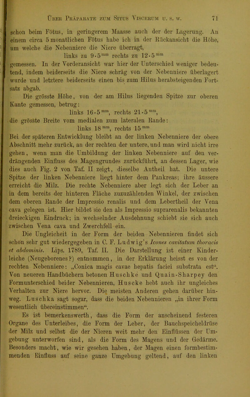 schon beim Fötus, in geringerem Maasse auch der der Lagerung. An einem circa 5 monatlichen Fötus habe ich in der Rückansicht die Höhe, um welche die Nebenniere die Niere überragt, links zu 9*5mra rechts zu 12-5mm gemessen. In der Vorderansicht war hier der Unterschied weniger bedeu- tend, indem beiderseits die Niere schräg von der Nebenniere überlagert wurde und letztere beiderseits einen bis zum Hilus herabsteigenden Fort- satz abgab. Die grösste Höhe, von der am Hilus liegenden Spitze zur oberen Kante gemessen, betrug: links 16-5 mm, rechts 21-5 mm, die grösste Breite vom medialen zum lateralen Rande: links 18 mm, rechts 15 mm Bei der späteren Entwicklung bleibt an der linken Nebenniere der obere Abschnitt mehr zurück, an der rechten der untere, und man wird nicht irre gehen, wenn man die Umbildung der linken Nebenniere auf den ver- drängenden Einfluss des Magengrundes zurückführt, an dessen Lager, wie dies auch Fig. 2 von Taf. II zeigt, dieselbe Antheil hat. Die untere Spitze der linken Nebenniere liegt hinter dem Pankreas; ihre äussere erreicht die Milz. Die rechte Nebenniere aber legt sich der Leber an in dem bereits der hinteren Fläche zuzuzählenden Winkel, der zwischen dem oberen Rande der Impressio renalis und dem Lebertheil der Vena cava gelegen ist. Hier bildet sie den als Impressio suprarenalis bekannten dreieckigen Eindruck; in wechselnder Ausdehnung schiebt sie sich auch zwischen Vena cava und Zwerchfell ein. Die Ungleicheit in der Form der beiden Nebennieren findet sich schon sehr gut wiedergegeben in C. F. Ludwig’s Icones cavitatum thoracis et abdominis. Lips. 1789, Taf. II. Die Darstellung ist einer Kinder- leiche (Neugeborenes?) entnommen, in der Erklärung heisst es von der rechten Nebenniere: „Conica magis cavae hepatis faciei substrata est“. Von neueren Handbüchern betonen Huschke und Quain-Skarpey den Formunterschied beider Nebennieren, Huscke hebt auch ihr ungleiches Verhalten zur Niere hervor. Die meisten Anderen gehen darüber hin- weg. Luschka sagt sogar, dass die beiden Nebennieren „in ihrer Form wesentlich übereinstimmen“. Es ist bemerkenswerth, dass die Form der anscheinend festeren Organe des Unterleibes, die Form der Leber, der Bauchspeicheldrüse der Milz und selbst die der Nieren weit mehr den Einflüssen der Um- gebung- unterworfen sind, als die Form des Magens und der Gedärme. Besonders macht, wie wir gesehen haben, der Magen einen formbestim- menden Einfluss auf seine ganze Umgebung geltend, auf den linken