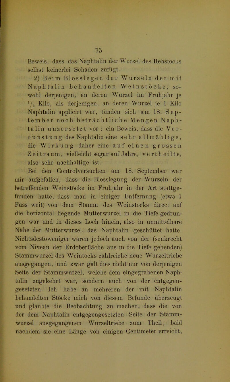 Beweis, dass das Naplilalin der Wurzel des RebsLocks selbst keinerlei Schaden zufügt. 2) Beim B1 o s s 1 e g e n der Wurzeln der mit Naphtalin behandelten Wein stocke, so- wohl derjenigen, an deren Wurzel im Frühjahr je J/8 Kilo, als derjenigen, an deren Wurzel je 1 Kilo Naphtalin applicirt war, fanden sich am 18. Sep- tember noch beträchtliche Mengen Naph- talin unzersetzt vor : ein Beweis, dass die Ver- dunstung des Naphtalin eine sehr allmählige, die W i r k u n g daher eine auf einen grossen Zeitraum, vielleicht sogar auf Jahre, verth eilte, also sehr nachhaltige ist. Bei den Control versuchen am 18. September war mir aufgefallen, dass die Blosslegung der Wurzeln der betreffenden Weinstöcke im Frühjahr in der Art slattge- funden hatte, dass man in einiger Entfernung (etwa 1 Fuss weit) vou dem Stamm des Weinstocks direct auf die horizontal liegende Mutterwurzel in die Tiefe gedrun- gen war und in dieses Loch hinein, also in unmittelbare Nähe der Mutterwurzel, das Naphtalin geschüttet hatte. Nichtsdestoweniger waren jedoch auch von der (senkrecht vom Niveau der Erdoberfläche aus in die Tiefe gehenden) Stammwurzel des Weintocks zahlreiche neue Wurzellriebe ausgegangen, und zwar galt dies nicht nur von derjenigen Seite der Stammwurzel, welche dem eingegrabenen Naph- talin zugekehrt war, sondern auch von der entgegen- gesetzten. Ich habe an mehreren der mit Naphtalin behandelten Stöcke mich von diesem Befunde überzeugt und glaubte die Beobachtung zu machen, dass die von der dem Naphtalin entgegengesetzten Seite der Stamm- wurzel ausgegangenen Wurzellriebe zum Theil, bald nachdem sie eine Länge von einigen Centimeter erreicht,