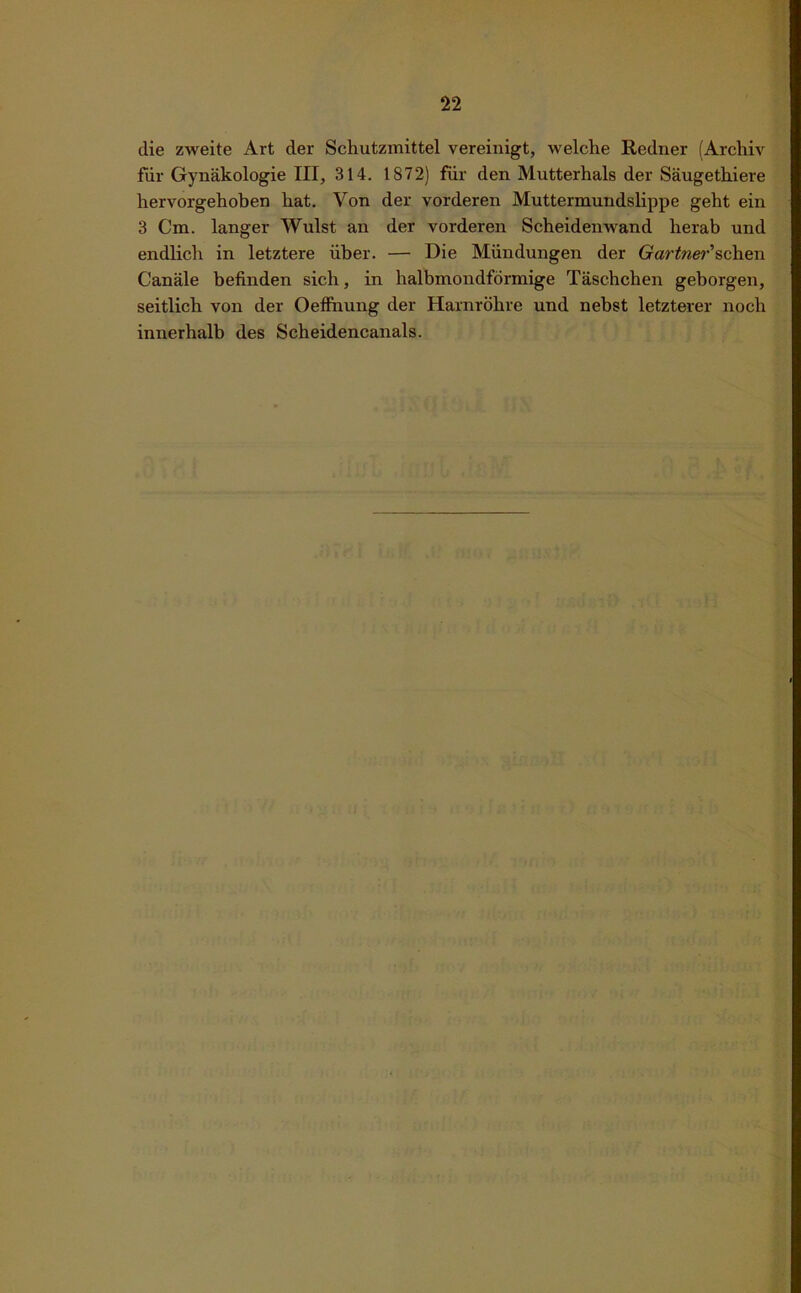 die zweite Art der Schutzmittel vereinigt, welche Redner (Archiv für Gynäkologie III, 314. 1872) für den Mutterhals der Säugethiere hervorgehoben hat. Von der vorderen Muttermundslippe geht ein 3 Cm. langer Wulst an der vorderen Scheidenwand herab und endlich in letztere über. — Die Mündungen der Gärtner'sehen Canäle befinden sich, in halbmondförmige Täschchen geborgen, seitlich von der Oeffnung der Harnröhre und nebst letzterer noch innerhalb des Scheidencanals.