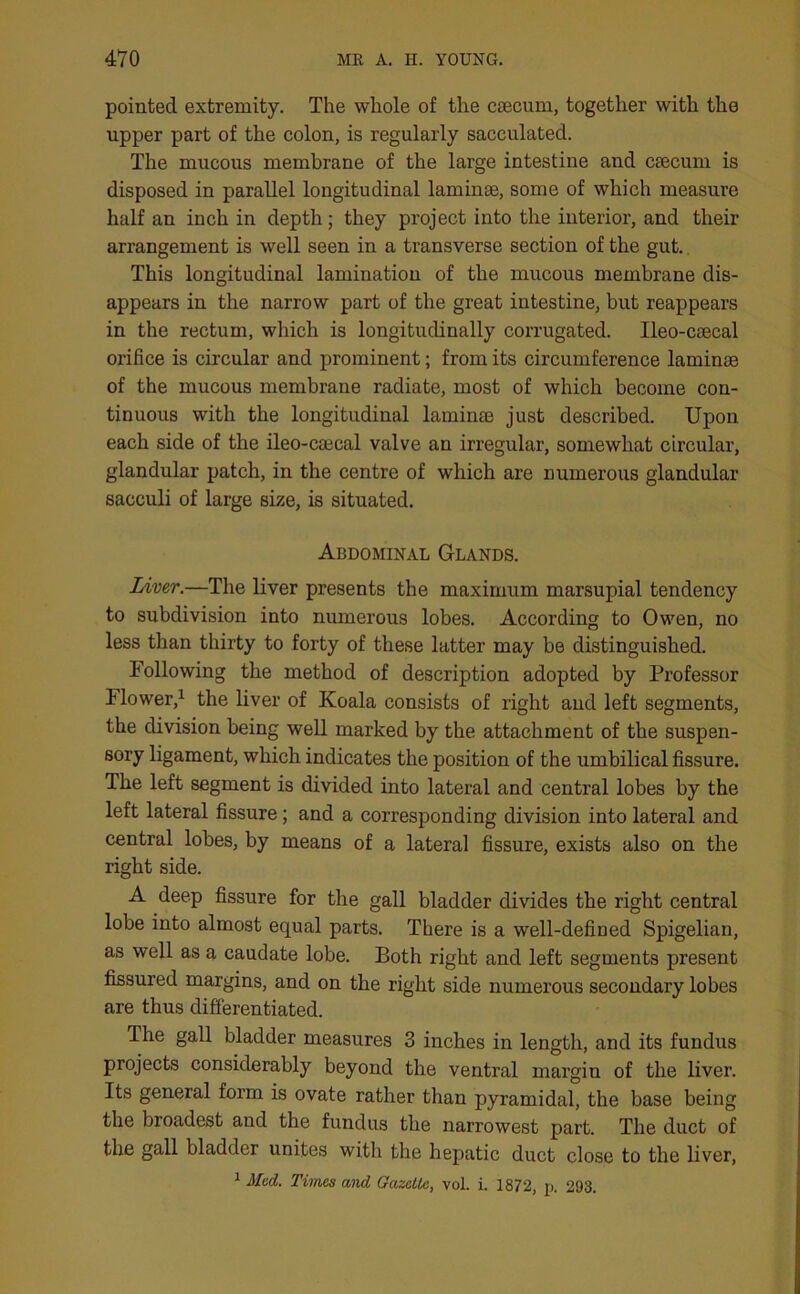 pointed extremity. The whole of the caecum, together with the upper part of the colon, is regularly sacculated. The mucous membrane of the large intestine and caecum is disposed in parallel longitudinal laminae, some of which measure half an inch in depth; they project into the interior, and their arrangement is well seen in a transverse section of the gut. This longitudinal lamination of the mucous membrane dis- appears in the narrow part of the great intestine, but reappears in the rectum, which is longitudinally corrugated. Ileo-caecal orifice is circular and prominent; from its circumference laminae of the mucous membrane radiate, most of which become con- tinuous with the longitudinal laminae just described. Upoii each side of the ileo-caecal valve an irregular, somewhat circular, glandular patch, in the centre of which are numerous glandular sacculi of large size, is situated. Abdominal Glands. Liver.—The liver presents the maximum marsupial tendency to subdivision into numerous lobes. According to Owen, no less than thirty to forty of these latter may be distinguished. Following the method of description adopted by Professor Flower,1 the liver of Koala consists of right and left segments, the division being well marked by the attachment of the suspen- sory ligament, which indicates the position of the umbilical fissure. The left segment is divided into lateral and central lobes by the left lateral fissure; and a corresponding division into lateral and central lobes, by means of a lateral fissure, exists also on the right side. A deep fissure for the gall bladder divides the right central lobe into almost equal parts. There is a well-defined Spigelian, as well as a caudate lobe. Both right and left segments present fissured margins, and on the right side numerous secondary lobes are thus differentiated. The gall bladder measures 3 inches in length, and its fundus projects considerably beyond the ventral margin of the liver. Its general form is ovate rather than pyramidal, the base being the broadest and the fundus the narrowest part. The duct of the gall bladder unites with the hepatic duct close to the liver, 1 Mud. Times and Gazelle, vol. i. 1872, p. 298.