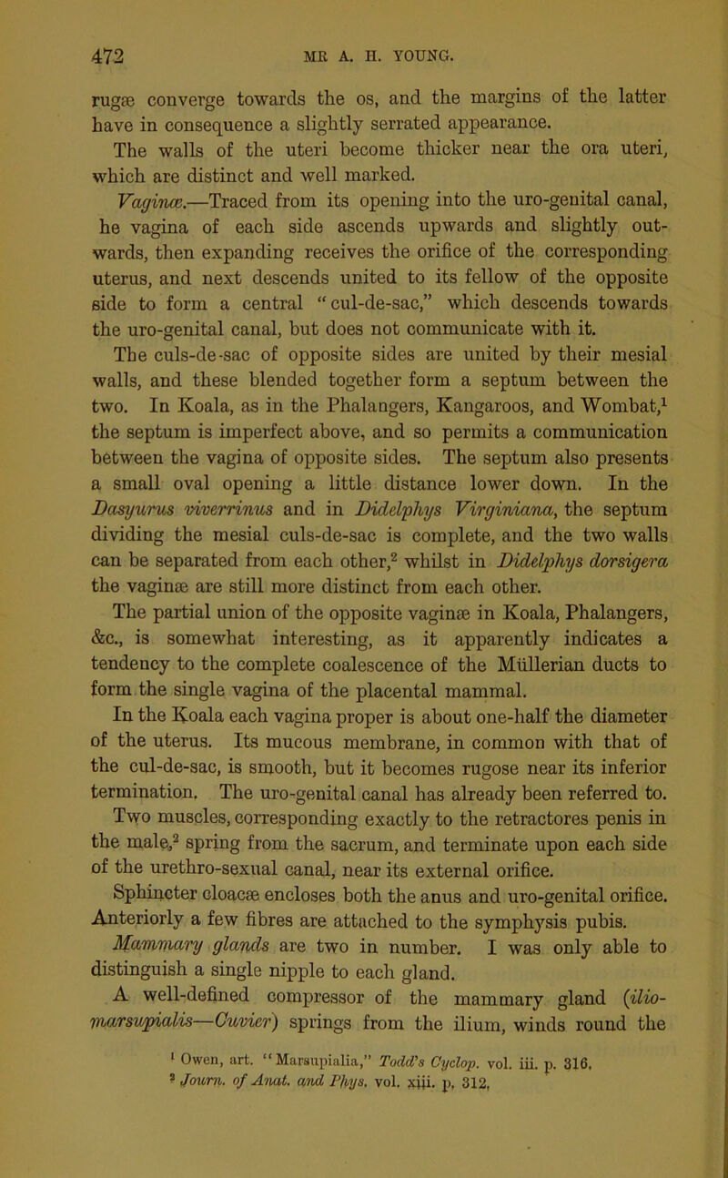 rugae converge towards the os, and the margins of the latter have in consequence a slightly serrated appearance. The walls of the uteri become thicker near the ora uteri, which are distinct and well marked. Vagince.—Traced from its opening into the uro-geuital canal, he vagina of each side ascends upwards and slightly out- wards, then expanding receives the orifice of the corresponding uterus, and next descends united to its fellow of the opposite side to form a central “cul-de-sac,” which descends towards the uro-genital canal, but does not communicate with it. The culs-de-sac of opposite sides are united by their mesial walls, and these blended together form a septum between the two. In Koala, as in the Phalangers, Kangaroos, and Wombat,1 the septum is imperfect above, and so permits a communication between the vagina of opposite sides. The septum also presents a small oval opening a little distance lower down. In the Dasyurus viverrinus and in Didelphys Virginiana, the septum dividing the mesial culs-de-sac is complete, and the two walls can be separated from each other,2 whilst in Didelphys dorsigera the vaginae are still more distinct from each other. The partial union of the opposite vaginae in Koala, Phalangers, &c., is somewhat interesting, as it apparently indicates a tendency to the complete coalescence of the Mullerian ducts to form the single vagina of the placental mammal. In the Koala each vagina proper is about one-half the diameter of the uterus. Its mucous membrane, in common with that of the cul-de-sac, is smooth, but it becomes rugose near its inferior termination. The uro-genital canal has already been referred to. Two muscles, corresponding exactly to the retractores penis in the male,2 spring from the sacrum, and terminate upon each side of the urethro-sexual canal, near its external orifice. Sphincter cloacae encloses both the anus and uro-genital orifice. Anteriorly a few fibres are attached to the symphysis pubis. Mammary glands are two in number. I was only able to distinguish a single nipple to each gland. A well-defined compressor of the mammary gland (ilio- marsupialis—Cuvier) springs from the ilium, winds round the 1 Owen, art. Marsupialia,” TodcVs Cyclop, vol. iii. p. 316, ? Journ. of Amt. and Pfpys, vol. xiii. p, 312,