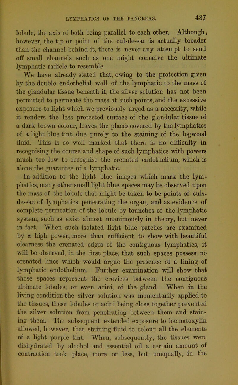 lobule, the axis of both being parallel to each other. Although, however, the tip or point of the cul-de-sac is actually broader than the channel behind it, there is never any attempt to send off small channels such as one might conceive the ultimate lymphatic radicle to resemble. We have already stated that, owing to the protection given by the double endothelial wall of the lymphatic to the mass of the glandular tissue beneath it, the silver solution has not been permitted to permeate the mass at such points, and the excessive exposure to light which we previously urged as a necessity, while it renders the less protected surface of the glandular tissue of a dark brown colour, leaves the places covered by the lymphatics of a light blue tint, due purely to the staining of the logwood fluid. This is so well marked that there is no difficulty in recognising the course and shape of such lymphatics with powers much too low to recognise the crenated endothelium, which is alone the guarantee of a lymphatic. In addition to the light blue images which mark the lym- phatics, many other small light blue spaces may be observed upon the mass of the lobule that might be taken to be points of culs- de-sac of lymphatics penetrating the organ, and as evidence of complete permeation of the lobule by branches of the lymphatic system, such as exist almost unanimously in theory, but never in fact. When such isolated light blue patches are examined by a high power, more than sufficient to show with beautiful clearness the crenated edges of the contiguous lymphatics, it will be observed, in the first place, that such spaces possess no crenated lines which would argue the presence of a lining of lymphatic endothelium. Further examination will show that those spaces represent the crevices between the contiguous ultimate lobules, or even acini, of the gland. When in the living condition the silver solution was momentarily applied to the tissues, these lobules or acini being close together prevented the silver solution from penetrating between them and stain- ing them. The subsequent extended exposure to hiematoxylin allowed, however, that staining fluid to colour all the elements of a light purple tint. When, subsequently, the tissues were dishydrated by alcohol and essential oil a certain amount of contraction took place, more or less, but unequally, in the