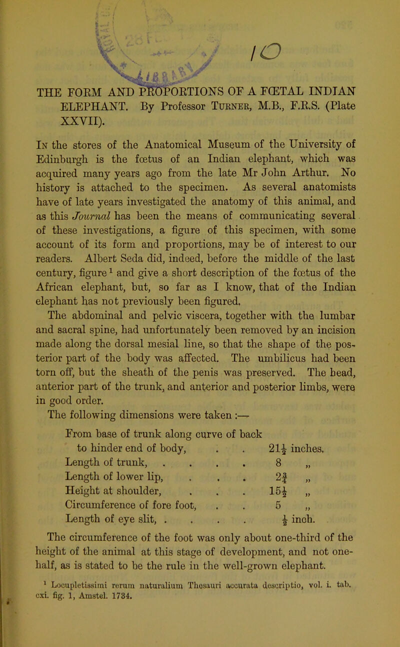 IO THE FORM AND PROPORTIONS OF A FCETAL INDIAN ELEPHANT. By Professor Turner, M.B., F.R.S. (Plate XXVII). In the stores of the Anatomical Museum of the University of Edinburgh is the foetus of an Indian elephant, which was acquired many years ago from the late Mr John Arthur. No history is attached to the specimen. As several anatomists have of late years investigated the anatomy of this animal, and as this Journal has been the means of communicating several of these investigations, a figure of this specimen, with some account of its form and proportions, may be of interest to our readers. Albert Seda did, indeed, before the middle of the last century, figure1 and give a short description of the foetus of the African elephant, but, so far as I know, that of the Indian elephant has not previously been figured. The abdominal and pelvic viscera, together with the lumbar and sacral spine, had unfortunately been removed by an incision made along the dorsal mesial line, so that the shape of the pos- terior part of the body was affected. The umbilicus had been torn off, but the sheath of the penis was preserved. The bead, anterior part of the trunk, and anterior and posterior limbs, were in good order. The following dimensions were taken :— From base of trunk along curve of back to hinder end of body, 21^ inches. Length of trunk, • 8 „ Length of lower lip, 2f „ Height at shoulder, . 15i „ Circumference of fore foot, 5 „ Length of eye slit, . ^ inch. The circumference of the foot was only about one-third of the height of the animal at this stage of development, and not one- half, as is stated to be the rule in the well-grown elephant. 1 Locupletissimi rerum naturalium Thesauri aecurata descriptio, vol. i. tab.