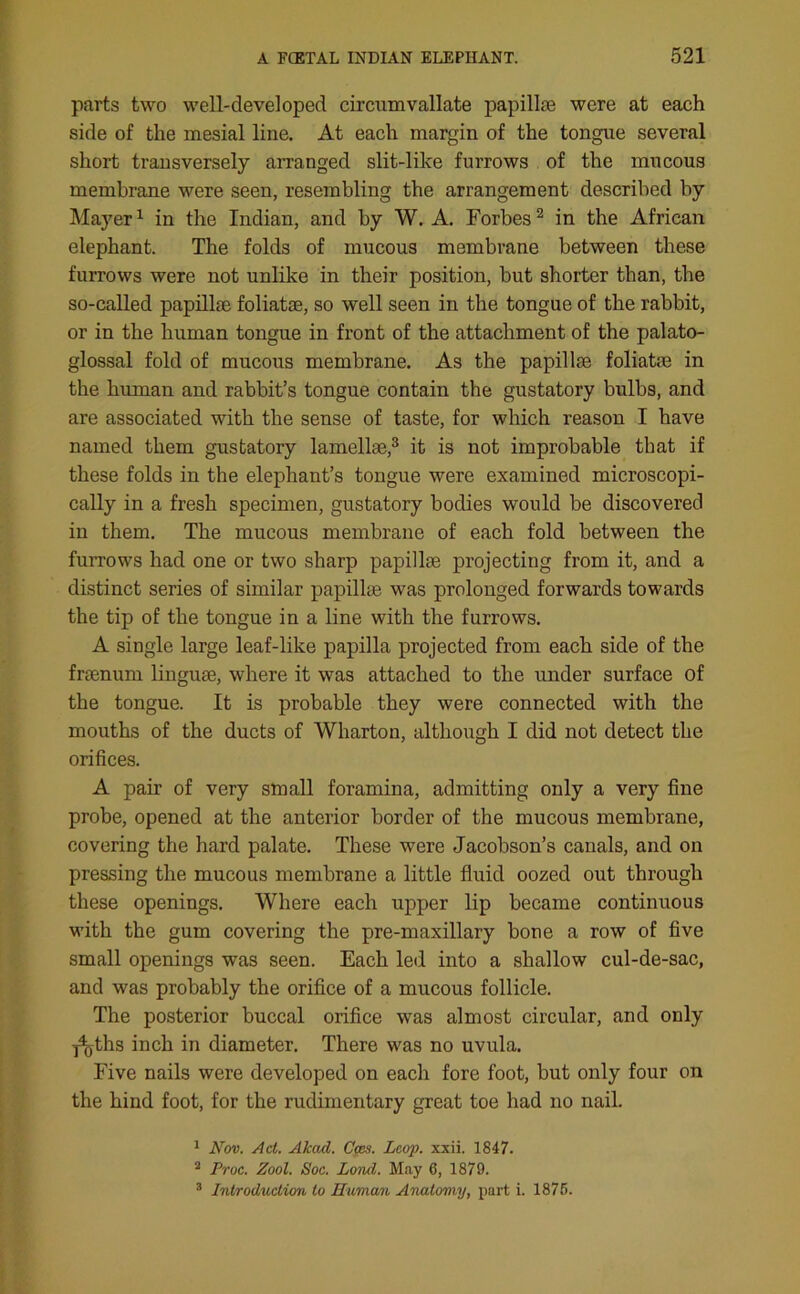 parts two well-developed circumvallate papillae were at each side of the mesial line. At each margin of the tongue several short transversely arranged slit-like furrows of the mucous membrane were seen, resembling the arrangement described by Mayer1 in the Indian, and by W. A. Forbes2 in the African elephant. The folds of mucous membrane between these furrows were not unlike in their position, but shorter than, the so-called papillae foliatae, so well seen in the tongue of the rabbit, or in the human tongne in front of the attachment of the palato- glossal fold of mucous membrane. As the papillae foliatae in the human and rabbit’s tongue contain the gustatory bulbs, and are associated with the sense of taste, for which reason I have named them gustatory lamellae,3 it is not improbable that if these folds in the elephant’s tongue were examined microscopi- cally in a fresh specimen, gustatory bodies would be discovered in them. The mucous membrane of each fold between the furrows had one or two sharp papillae projecting from it, and a distinct series of similar papillae was prolonged forwards towards the tip of the tongue in a line with the furrows. A single large leaf-like papilla projected from each side of the fraenum linguae, where it was attached to the under surface of the tongue. It is probable they were connected with the mouths of the ducts of Wharton, although I did not detect the orifices. A pair of very small foramina, admitting only a very fine probe, opened at the anterior border of the mucous membrane, covering the hard palate. These were Jacobson’s canals, and on pressing the mucous membrane a little fluid oozed out through these openings. Where each upper lip became continuous with the gum covering the pre-maxillary bone a row of five small openings was seen. Each led into a shallow cul-de-sac, and was probably the orifice of a mucous follicle. The posterior buccal orifice was almost circular, and only y^ths inch in diameter. There was no uvula. Five nails were developed on each fore foot, but only four on the hind foot, for the rudimentary great toe had no nail. 1 Nov. Act. Akad. Ccbs. Loop. xxii. 1847. 2 Proc. Zool. Soc. Loiul. May 6, 1879. 3 Introduction to Human Anatomy, part i. 1875.
