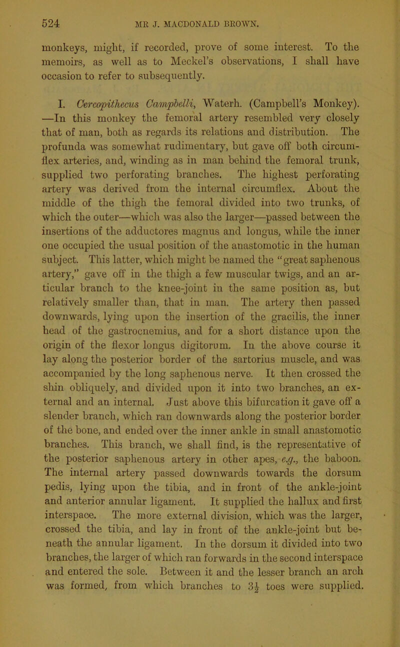 monkeys, might, if recorded, prove of some interest. To the memoirs, as well as to Meckel’s observations, I shall have occasion to refer to subsequently. I. Cercopithecus Campbelli, Waterh. (Campbell’s Monkey). —In this monkey the femoral artery resembled very closely that of man, both as regards its relations and distribution. The profunda was somewhat rudimentary, but gave off both circum- flex arteries, and, winding as in man behind the femoral trunk, supplied two perforating branches. The highest perforating artery was derived from the internal circumflex. About the middle of the thigh the femoral divided into two trunks, of which the outer—which was also the larger—passed between the insertions of the adductores magnus and longus, while the inner one occupied the usual position of the anastomotic in the human subject. This latter, which might be named the “great saphenous artery,’’ gave off in the thigh a few muscular twigs, and an ar- ticular branch to the knee-joint in the same position as, but relatively smaller than, that in man. The artery then passed downwards, lying upon the insertion of the gracilis, the inner head of the gastrocnemius, and for a short distance upon the origin of the flexor longus digitorum. In the above course it lay along the posterior border of the sartorius muscle, and was accompanied by the long saphenous nerve. It then crossed the shin obliquely, and divided upon it into two branches, an ex- ternal and an internal. Just above this bifurcation it gave off a slender branch, which ran downwards along the posterior border of the bone, and ended over the inner ankle in small anastomotic branches. This branch, we shall find, is the representative of the posterior saphenous artery in other apes, e.g., the baboon. The internal artery passed downwards towards the dorsum pedis, lying upon the tibia, and in front of the ankle-joint and anterior annular ligament. It supplied the hallux and first interspace. The more external division, which was the larger, crossed the tibia, and lay in front of the ankle-joint but be- neath the annular ligament. In the dorsum it divided into two branches, the larger of which ran forwards in the second interspace and entered the sole. Between it and the lesser branch an arch was formed, from which branches to 3£ toes were supplied.