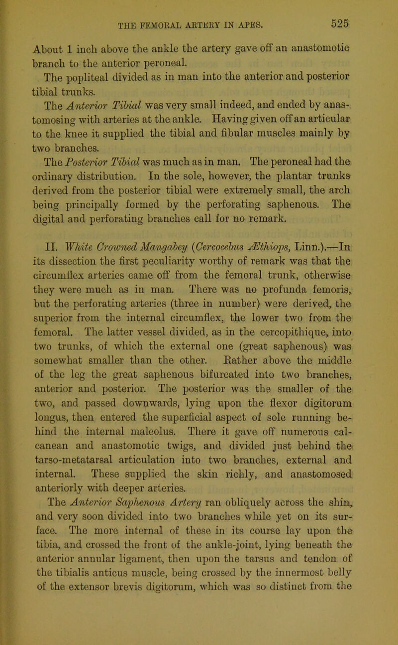 About 1 inch above the ankle the artery gave off an anastomotic branch to the anterior peroneal. The popliteal divided as in man into the anterior and posterior tibial trunks. The Anterior Tibial was very small indeed, and ended by anas- tomosing with arteries at the ankle. Having given off an articular to the knee it supplied the tibial and fibular muscles mainly by two branches. The Posterior Tibial was much as in man. The peroneal had the ordinary distribution. In the sole, however, the plantar trunks derived from the posterior tibial were extremely small, the arch being principally formed by the perforating saphenous. The digital and perforating branches call for no remark. II. White Crowned Mangabey (Cercocebus TEthiops, Linn.).—In its dissection the first peculiarity worthy of remark was that the circumflex arteries came off from the femoral trunk, otherwise they were much as in man. There was no profunda femoris, but the perforating arteries (three in number) were derived, the superior from the internal circumflex, the lower two from the femoral. The latter vessel divided, as in the cereopithique, into two trunks, of which the external one (great saphenous) was somewhat smaller than the other. Eather above the middle of the leg the great saphenous bifurcated into two branches, anterior and posterior. The posterior was the smaller of the two, and passed downwards, lying upon the flexor digitorum longus, then entered the superficial aspect of sole running be- hind the internal maleolus. There it gave off numerous cal- canean and anastomotic twigs, and divided just behind the tarso-metatarsal articulation into two branches, external and internal. These supplied the skin richly, and anastomosed anteriorly with deeper arteries. The Anterior Saphenous Artery ran obliquely across the shin, and very soon divided into two branches while yet on its sur- face. The more internal of these in its course lay upon the- tibia, and crossed the front of the ankle-joint, lying beneath the anterior annular ligament, then upon the tarsus and tendon of the tibialis anticus muscle, being crossed by the innermost belly of the extensor brevis digitorum, which was so distinct from the