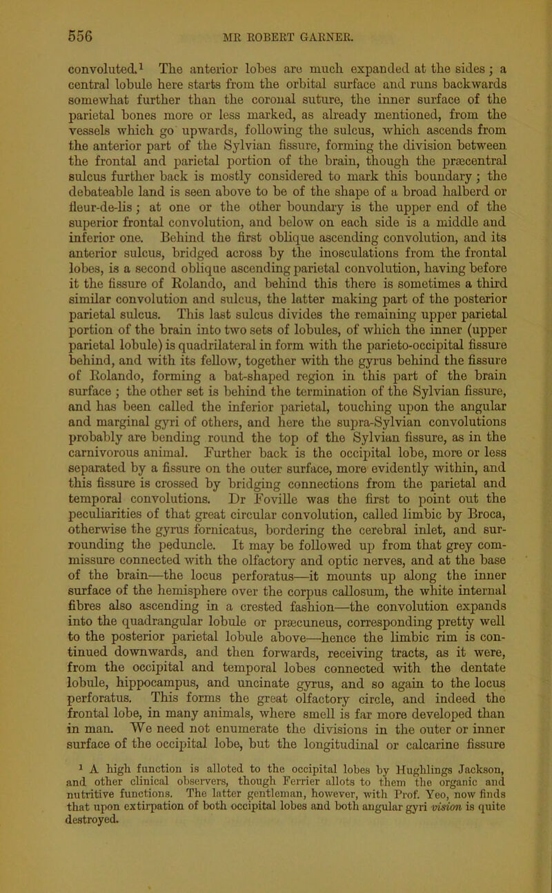 convoluted.1 The anterior lobes are much expanded at the sides; a central lobule here starts from the orbital surface and runs backwards somewhat further than the coronal suture, the inner surface of the parietal bones more or less marked, as already mentioned, from the vessels which go upwards, following the sulcus, which ascends from the anterior part of the Sylvian fissure, forming the division between the frontal and parietal portion of the brain, though the prsecentral sulcus further back is mostly considered to mark this boundary; the clebateable land is seen above to be of the shape of a broad halberd or fleur-de-lis; at one or the other boundary is the upper end of the superior frontal convolution, and below on each side is a middle and inferior one. Behind the first oblique ascending convolution, and its anterior sulcus, bridged across by the inosculations from the frontal lobes, is a second oblique ascending parietal convolution, having before it the fissure of Rolando, and behind this there is sometimes a third similar convolution and sulcus, the latter making part of the posterior parietal sulcus. This last sulcus divides the remaining upper parietal portion of the brain into two sets of lobules, of which the inner (upper parietal lobule) is quadrilateral in form with the parieto-occipital fissure behind, and with its fellow, together with the gyrus behind the fissure of Rolando, forming a bat-shaped region in this part of the brain surface ; the other set is behind the termination of the Sylvian fissure, and has been called the inferior parietal, touching upon the angular and marginal gyri of others, and here the supra-Sylvian convolutions probably are bending round the top of the Sylvian fissure, as in the carnivorous animal. Further back is the occipital lobe, more or less separated by a fissure on the outer surface, more evidently within, and this fissure is crossed by bridging connections from the parietal and temporal convolutions. Dr Foville was the first to point out the peculiarities of that great circular convolution, called limbic by Broca, otherwise the gyrus fbrnicatus, bordering the cerebral inlet, and sur- rounding the peduncle. It may be followed up from that grey com- missure connected with the olfactory and optic nerves, and at the base of the brain—the locus perforates—it mounts up along the inner surface of the hemisphere over the corpus callosum, the white internal fibres also ascending in a crested fashion—the convolution expands into the quadrangular lobule or praecuneus, corresponding pretty well to the posterior parietal lobule above—hence the limbic rim is con- tinued downwards, and then forwards, receiving tracts, as it were, from the occipital and temporal lobes connected with the dentate lobule, hippocampus, and uncinate gyrus, and so again to the locus perforatus. This forms the great olfactory circle, and indeed the frontal lobe, in many animals, where smell is far more developed than in man. We need not enumerate the divisions in the outer or inner surface of the occipital lobe, but the longitudinal or calcarine fissure 1 A high function is alloted to the occipital lobes by Huglilings Jackson, and other clinical observers, though Ferrier allots to them the organic and nutritive functions. The latter gentleman, however, with Prof. Yeo, now finds that upon extirpation of both occipital lobes and both angular gyri vision is quite destroyed.