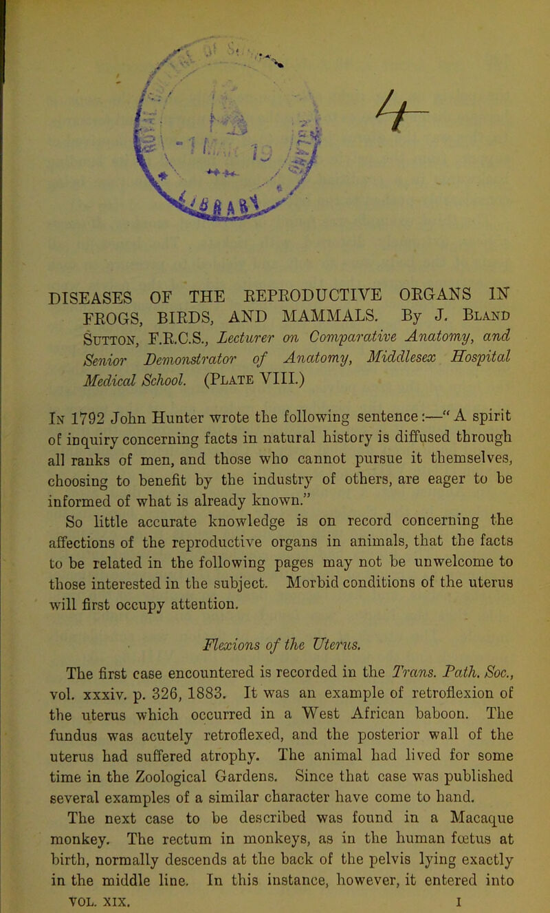 DISEASES OF THE REPRODUCTIVE ORGANS IN FROGS, BIRDS, AND MAMMALS. By J. Bland Sutton, F.R.C.S., Lecturer on Comparative Anatomy, and Senior Demonstrator of Anatomy, Middlesex Hospital Medical School. (Plate VIII.) In 1792 John Hunter wrote the following sentence:—“A spirit of inquiry concerning facts in natural history is diffused through all ranks of men, and those who cannot pursue it themselves, choosing to benefit by the industry of others, are eager to be informed of what is already known.” So little accurate knowledge is on record concerning the affections of the reproductive organs in animals, that the facts to be related in the following pages may not be unwelcome to those interested in the subject. Morbid conditions of the uterus will first occupy attention. Flexions of the Uterus. The first case encountered is recorded in the Trans. Path. Soc., vol. xxxiv. p. 326, 1883. It was an example of retroflexion of the uterus which occurred in a West African baboon. The fundus was acutely retroflexed, and the posterior wall of the uterus had suffered atrophy. The animal had lived for some time in the Zoological Gardens. Since that case was published several examples of a similar character have come to hand. The next case to be described was found in a Macaque monkey. The rectum in monkeys, as in the human foetus at birth, normally descends at the back of the pelvis lying exactly in the middle line. In this instance, however, it entered into