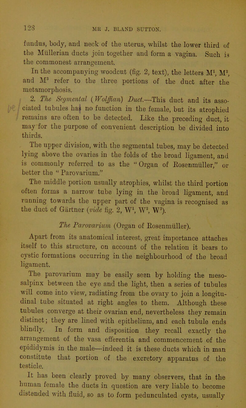 fundus, body, and neck of the uterus, whilst the lower third of the Mullerian ducts join together and form a vagina. Such is the commonest arrangement. In the accompanying woodcut (fig. 2, text), the letters M1, M2, and M3 refer to the three portions of the duct after the metamorphosis, 2. The Segmental (Wolffian) Duct.—This duct and its asso- ciated tubules haj no function in the female, but its atrophied remains are often to be detected. Like the preceding duct, it may for the purpose of convenient description be divided into thirds. The upper division, with the segmental tubes, may be detected lying above the ovaries in the folds of the broad ligament, and is commonly referred to as the “Organ of Rosenmiiller,” or better the “ Parovarium.” The middle portion usually atrophies, whilst the third portion often forms a narrow tube lying in the broad ligament, and running towards the upper part of the vagina is recognised as the duct of Gartner (vide fig. 2, W1, W2, W3). The Parovarium (Organ of Eosenmiiller). Apart from its anatomical interest, great importance attaches itself to this structure, on account of the relation it bears to cystic formations occurring in the neighbourhood of the broad ligament. The parovarium may be easily seen by holding the meso- salpinx between the eye and the light, then a series of tubules will come into view, radiating from the ovary to join a longitu- dinal tube situated at right angles to them. Although these tubules converge at their ovarian end, nevertheless they remain distinct; they are lined with epithelium, and each tubule ends blindly. In form and disposition they recall exactly the arrangement of the vasa efferentia and commencement of the epididymis in the male—indeed it is these ducts which in man constitute that portion of the excretory apparatus of the testicle. It has been clearly proved by many observers, that in the human female the ducts in question are very liable to become distended with fluid, so as to form pedunculated cysts, usually