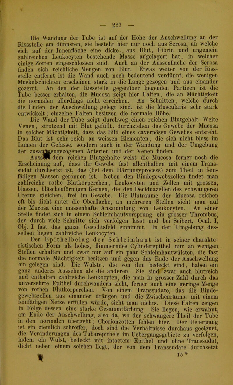 Die Wandung der Tube ist auf der Höhe der Anschwellung an der Rissstelle am dünnsten, sie besteht hier nur noch aus Serosa, an welche sich auf der Innenfläche eine dicke, aus Blut, Fibrin und ungemein zahlreichen Leukocyten bestehende Masse abgelagert hat, in welcher einige Zotten eingeschlossen sind. Auch an der Aussenfläche der Serosa finden sich reichliche Mengen von Blut. Etwas weiter von der Riss- stelle entfernt ist die Wand auch noch bedeutend verdünnt, die wenigen Muskelschichten erscheinen stark in die Länge gezogen und aus einander gezerrt. An den der Rissstelle gegenüber liegenden Partieen ist die Tube besser erhalten, die Mucosa zeigt hier Falten, die an Mächtigkeit die normalen allerdings nicht erreichen. An Schnitten, w'elche durch die Enden der Anschwellung gelegt sind, ist die Muscularis sehr stark entwickelt; einzelne Falten besitzen die normale Höhe. Die Wand der Tube zeigt durchweg einen reichen Blutgehalt. Weite Venen, strotzend mit Blut gefüllt, durchziehen das Gewebe der Mucosa in solcher Mächtigkeit, dass das Bild eines cavernösen Gewebes entsteht. Das Blut ist sehr reich an weissen Elementen, die sich nicht bloss im Lumen der Gefässe, sondern auch in der Wandung und der Umgebung der zusanjÄ^engezogenen Arterien und der Venen finden. AussW dem reichen Blutgehalte weist die Mucosa ferner noch die Erscheinung auf, dass ihr Gewebe fast allenthalben mit einem Trans- sudat durchsetzt ist, das (bei dem Härtungsprocess) zum Tbeil in fein- fädigen Massen geronnen ist. Neben den Bindegewebszellen findet man zahlreiche rothe Blutkörperchen, Leukocyten und Zellen mit grossen, blassen, bläschenförmigen Kernen, die den Deciduazellen des schwangeren Uterus gleichen, frei im Gewebe. Die Bluträume der Mucosa reichen oft bis dicht unter die Oberfläche, an mehreren Stellen sieht man auf der Mucosa eine massenhafte Ansammlung von Leukocyten. An einer Stelle findet sich in einem Schleimhautvorsprung ein grosser Thrombus, der durch viele Schnitte sich verfolgen lässt und bei Seibert, Ocul. I, Obj. I fast das ganze Gesichtsfeld einnimmt. In der Umgebung des- selben liegen zahlreiche Leukocyten. Der Epithelbelag der Schleimhaut ist in seiner charakte- ristischen Form als hohes, flimmerndes Cylinderepithel nur an wenigen Stellen erhalten und zwar nur auf ein paar Schleimhautwülsten, die fast die normale Mächtigkeit besitzen und gegen das Ende der Anschwellung hin gelegen sind. Die Wülste, die von ihm bedeckt sind, haben ein ganz anderes Aussehen als die anderen. Sie sind war auch blutreich und enthalten zahlreiche Leukocyten, die man in grosser Zahl durch das unversehrte Epithel durchwandern sieht, ferner auch eine geringe Menge von rothen Blutkörperchen. Von einem Transsudate, das die Binde- gewebszellen ^ aus einander drängen und die Zwischenräume mit einem feinfädigen Netze erfüllen würde, sieht man nichts. Diese Falten zeigen in Folge dessen eine starke Gesammtfärbung. Sie liegen, wie erwähnt, am Ende der Anschwellung, also da, wo der schwangere Theil der Tube in den normalen übergeht; Chorionzotten fehlen hier. Der Uebergang ist ein ziemlich schrofler, doch sind die Verhältnisse durchaus geeignet, die Veränderungen des Tubarepithels im Uebergangsgebiete zu verfolgen, indem ein M ulst, bedeckt mit intactem Epithel und ohne Transsudat, dicht neben einem solchen liegt, der von dem Transsudate durchsetzt m. 15 *