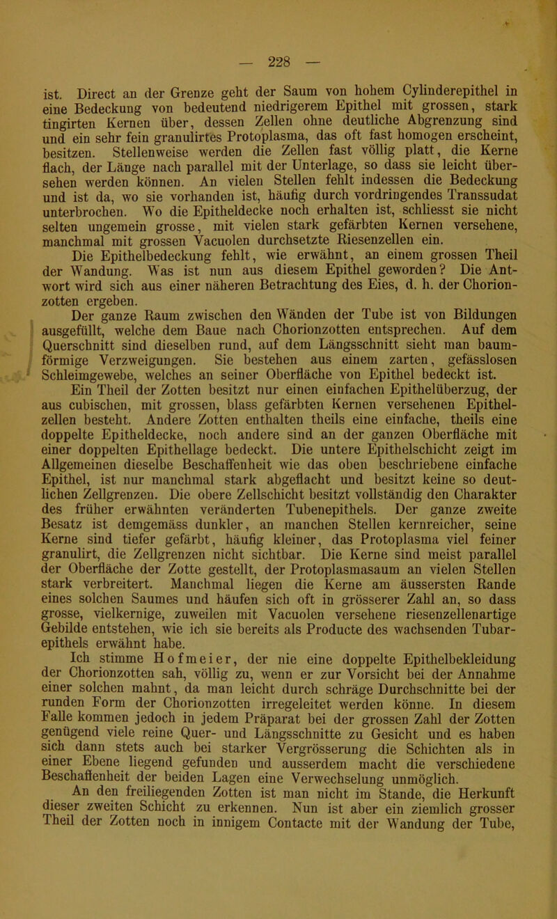 ist. Direct an der Grenze geht der Saum von hohem Cylinderepithel in eine Bedeckung von bedeutend niedrigerem Epithel mit grossen, stark tingirten Kernen über, dessen Zellen ohne deutliche Abgrenzung sind und ein sehr fein granulirtes Protoplasma, das oft fast homogen erscheint, besitzen. Stellenweise werden die Zellen fast völlig platt, die Kerne flach, der Länge nach parallel mit der Unterlage, so dass sie leicht über- sehen werden können. An vielen Stellen fehlt indessen die Bedeckung und ist da, wo sie vorhanden ist, häufig durch vordringendes Transsudat unterbrochen. Wo die Epitheldecke noch erhalten ist, schliesst sie nicht selten ungemein grosse, mit vielen stark gefärbten Kernen versehene, manchmal mit grossen Vacuolen durchsetzte Riesenzellen ein. Die Epithelbedeckung fehlt, wie erwähnt, an einem grossen Theil der Wandung. Was ist nun aus diesem Epithel geworden? Die Ant- wort wird sich aus einer näheren Betrachtung des Eies, d. h. der Chorion- zotten ergeben. Der ganze Raum zwischen den Wänden der Tube ist von Bildungen ausgefüllt, welche dem Baue nach Chorionzotten entsprechen. Auf dem Querschnitt sind dieselben rund, auf dem Längsschnitt sieht man baum- förmige Verzweigungen. Sie bestehen aus einem zarten, gefässlosen Schleimgewebe, welches an seiner Oberfläche von Epithel bedeckt ist. Ein Theil der Zotten besitzt nur einen einfachen Epithelüberzug, der aus cubischen, mit grossen, blass gefärbten Kernen versehenen Epithel- zellen besteht. Andere Zotten enthalten theils eine einfache, theils eine doppelte Epitheldecke, noch andere sind an der ganzen Oberfläche mit einer doppelten Epithellage bedeckt. Die untere Epithelschicht zeigt im Allgemeinen dieselbe Beschaffen heit wie das oben beschriebene einfache Epithel, ist nur manchmal stark abgeflacht und besitzt keine so deut- lichen Zellgrenzen. Die obere Zellschicht besitzt vollständig den Charakter des früher erwähnten veränderten Tubenepithels. Der ganze zweite Besatz ist demgemäss dunkler, an manchen Stellen kernreicher, seine Kerne sind tiefer gefärbt, häufig kleiner, das Protoplasma viel feiner granulirt, die Zellgrenzen nicht sichtbar. Die Kerne sind meist parallel der Oberfläche der Zotte gestellt, der Protoplasmasaum an vielen Stellen stark verbreitert. Manchmal liegen die Kerne am äussersten Rande eines solchen Saumes und häufen sich oft in grösserer Zahl an, so dass grosse, vielkernige, zuweilen mit Vacuolen versehene riesenzellen artige Gebilde entstehen, wie ich sie bereits als Producte des wachsenden Tubar- epithels erwähnt habe. Ich stimme Hofmeier, der nie eine doppelte Epithelbekleidung der Chorionzotten sah, völlig zu, wenn er zur Vorsicht bei der Annahme einer solchen mahnt, da man leicht durch schräge Durchschnitte bei der runden Form der Chorionzotten irregeleitet werden könne. In diesem Falle kommen jedoch in jedem Präparat bei der grossen Zahl der Zotten genügend viele reine Quer- und Längsschnitte zu Gesicht und es haben sich dann stets auch bei starker Vergrösserung die Schichten als in einer Ebene liegend gefunden und ausserdem macht die verschiedene Beschaflenheit der beiden Lagen eine Verwechselung unmöglich. An den freiliegenden Zotten ist man nicht im Stande, die Herkunft dieser zweiten Schicht zu erkennen. Nun ist aber ein ziemlich grosser Theil der Zotten noch in innigem Contacte mit der Wandung der Tube,