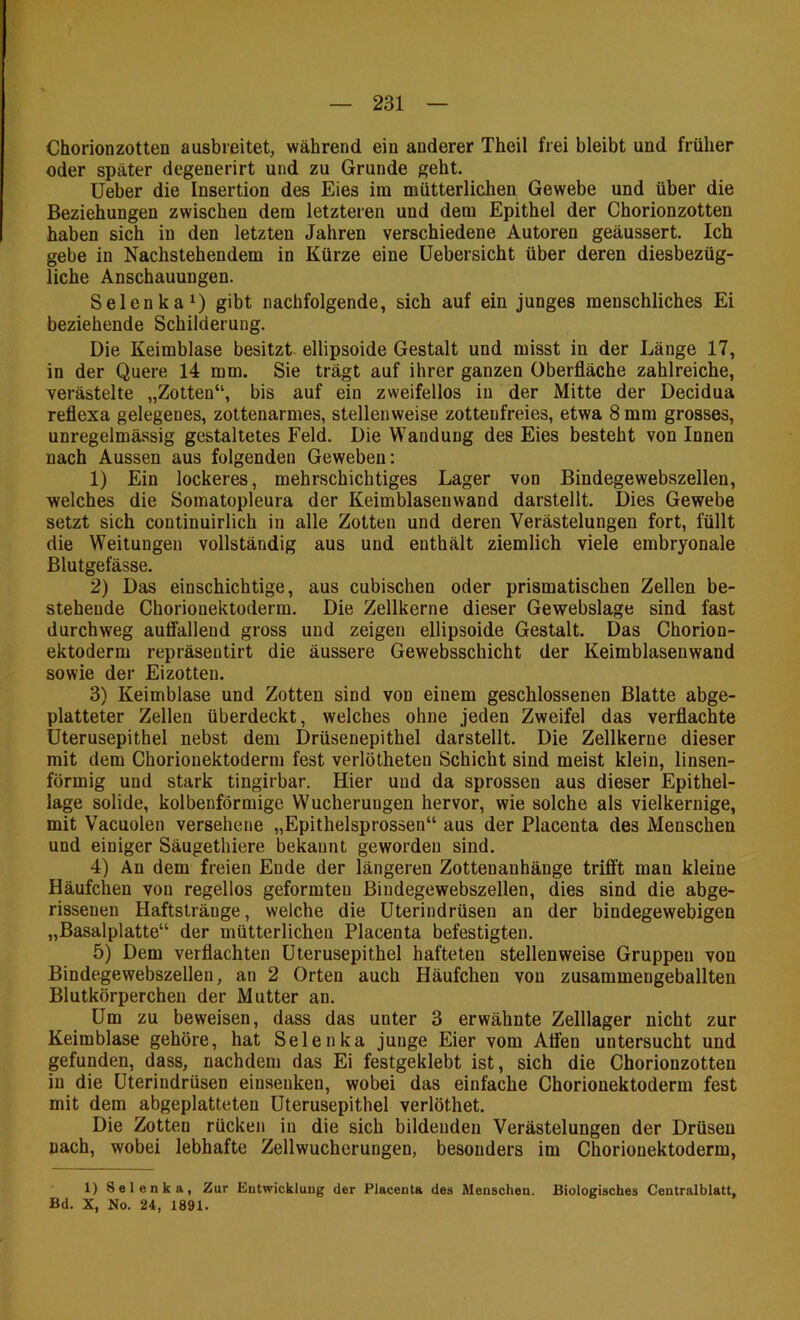 Chorionzotten ausbreitet, während ein anderer Theil frei bleibt und früher oder später degenerirt und zu Grunde geht. lieber die Insertion des Eies im mütterlichen Gewebe und über die Beziehungen zwischen dem letzteren und dem Epithel der Chorionzotten haben sich in den letzten Jahren verschiedene Autoren geäussert. Ich gebe in Nachstehendem in Kürze eine Uebersicht über deren diesbezüg- liche Anschauungen. Selcnka^) gibt nachfolgende, sich auf ein junges menschliches Ei beziehende Schilderung. Die Keimblase besitzt ellipsoide Gestalt und misst in der Länge 17, in der Quere 14 mm. Sie trägt auf ihrer ganzen Oberfläche zahlreiche, verästelte „Zotten“, bis auf ein zweifellos in der Mitte der Decidua reflexa gelegenes, zottenarmes, stellenweise zotteufreies, etwa 8 mm grosses, unregelmässig gestaltetes Feld. Die Wandung des Eies besteht von Innen nach Aussen aus folgenden Geweben: 1) Ein lockeres, mehrschichtiges Lager von Bindegewebszellen, welches die Somatopleura der Keimblasenwand darstellt. Dies Gewebe setzt sich continuirlich in alle Zotten und deren Verästelungen fort, füllt die Weitungen vollständig aus und enthält ziemlich viele embryonale Blutgefässe. 2) Das einschichtige, aus cubischen oder prismatischen Zellen be- stehende Chorionektoderm. Die Zellkerne dieser Gewebslage sind fast durchweg autfalleud gross und zeigen ellipsoide Gestalt. Das Chorion- ektoderm repräseutirt die äussere Gewebsschicht der Keimblasenwand sowie der Eizotten. 3) Keimblase und Zotten sind von einem geschlossenen Blatte abge- platteter Zellen überdeckt, welches ohne jeden Zweifel das verflachte üterusepithel nebst dem Drüsenepithel darstellt. Die Zellkerne dieser mit dem Chorionektoderm fest verlötheten Schicht sind meist klein, linsen- förmig und stark tingirbar. Hier und da sprossen aus dieser Epithel- lage solide, kolbenförmige Wucherungen hervor, wie solche als vielkernige, mit Vacuolen versehene „Epithelsprossen“ aus der Placenta des Menschen und einiger Säugethiere bekannt geworden sind. 4) An dem freien Ende der längeren Zottenanhänge trifft man kleine Häufchen von regellos geformten ßindegewebszellen, dies sind die abge- rissenen Haftstränge, welche die üterindrüsen an der bindegewebigen „Basalplatte“ der mütterlichen Placenta befestigten. 5) Dem verflachten üterusepithel hafteten stellenweise Gruppen von Bindegewebszellen, an 2 Orten auch Häufchen von zusammengeballten Blutkörperchen der Mutter an. Um zu beweisen, dass das unter 3 erwähnte Zelllager nicht zur Keimblase gehöre, hat Selenka junge Eier vom Alfen untersucht und gefunden, dass, nachdem das Ei festgeklebt ist, sich die Chorionzotten in die üterindrüsen einsenken, wobei das einfache Chorionektoderm fest mit dem abgeplatteten üterusepithel verlöthet. Die Zotten rücken in die sich bildenden Verästelungen der Drüsen nach, wobei lebhafte Zellwucherungen, besonders im Chorionektoderm, 1) Selenka, Zur Eutwickluug der Placenta des Menschen. Biologisches Centralblatt, Bd. X, No. 24, 1891.