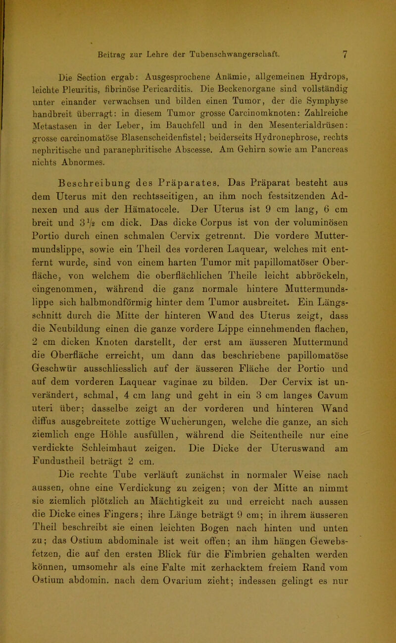 Die Section ergab: Ausgesprochene Anämie, allgemeinen Hydrops, leichte Pleuritis, fibrinöse Pericarditis. Die Beckenorgane sind vollständig unter einander verwachsen und bilden einen Tumor, der die Symphyse handbreit überragt: in diesem Tumor grosse Carcinomknoten: Zahlreiche Metastasen in der Leber, im Bauchfell und in den Mesenterialdrüsen: grosse carcinomatöse Blasenscheidenfistel; beiderseits Hydronephrose, rechts nephritisehe und paranephritische Abscesse. Am Gehirn sowie am Pancreas nichts Abnormes. Beschreibung des Präparates. Das Präparat besteht aus dem Uterus mit den rechtsseitigen, an ihm noch festsitzenden Ad- nexen und aus der Hämatocele. Der Uterus ist 9 cm lang, 6 cm breit und 31/« cm dick. Das dicke Corpus ist von der voluminösen Portio durch einen schmalen Cervix getrennt. Die vordere Mutter- mundslippe, sowie ein Theil des vorderen Laquear, welches mit ent- fernt wurde, sind von einem harten Tumor mit papillomatöser Ober- fläche, von welchem die oberflächlichen Theile leicht abbröckeln, eingenommen, während die ganz normale hintere Muttermunds- lippe sich halbmondförmig hinter dem Tumor ausbreitet. Ein Längs- schnitt durch die Mitte der hinteren Wand des Uterus zeigt, dass die Neubildung einen die ganze vordere Lippe einnehmenden flachen, 2 cm dicken Knoten darstellt, der erst am äusseren Muttermund die Oberfläche erreicht, um dann das beschriebene papillomatöse Geschwür ausschliesslich auf der äusseren Fläche der Portio und auf dem vorderen Laquear vaginae zu bilden. Der Cervix ist un- verändert, schmal, 4 cm lang und geht in ein 3 cm langes Cavum uteri über; dasselbe zeigt an der vorderen und hinteren Wand diffus ausgebreitete zottige Wucherungen, welche die ganze, an sich ziemlich enge Höhle ausfüllen, während die Seitentheile nur eine verdickte Schleimhaut zeigen. Die Dicke der Uteruswand am Fundustheil beträgt 2 cm. Die rechte Tube verläuft zunächst in normaler Weise nach aussen, ohne eine Verdickung zu zeigen; von der Mitte an nimmt sie ziemlich plötzlich an Mächtigkeit zu und erreicht nach aussen die Dicke eines Fingers; ihre Länge beträgt 9 cm; in ihrem äusseren Theil beschreibt sie einen leichten Bogen nach hinten und unten zu; das Ostium abdominale ist weit offen; an ihm hängen Gewebs- fetzen, die auf den ersten Blick für die Fimbrien gehalten werden können, umsomehr als eine Falte mit zerhacktem freiem Rand vom Ostium abdomin. nach dem Ovarium zieht; indessen gelingt es nur